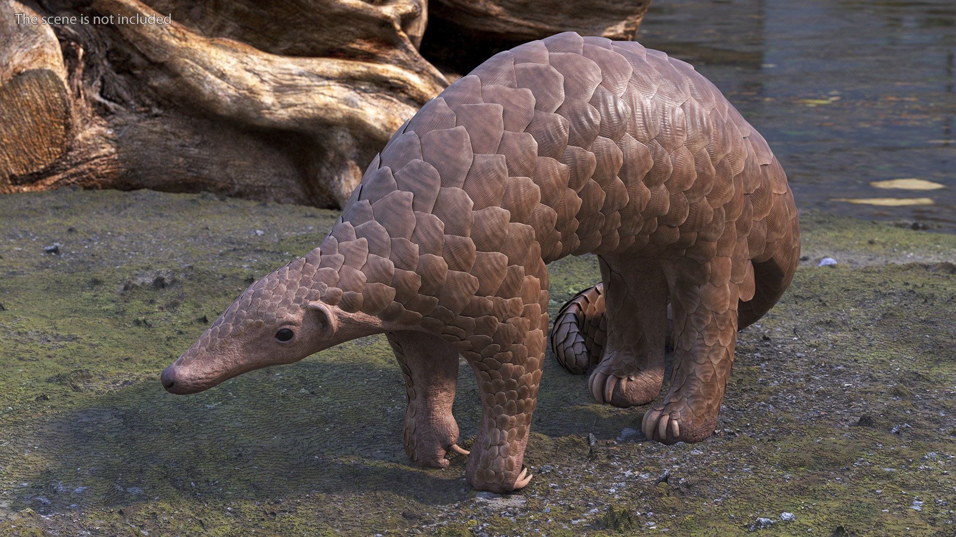 3D model Pangolin Rigged