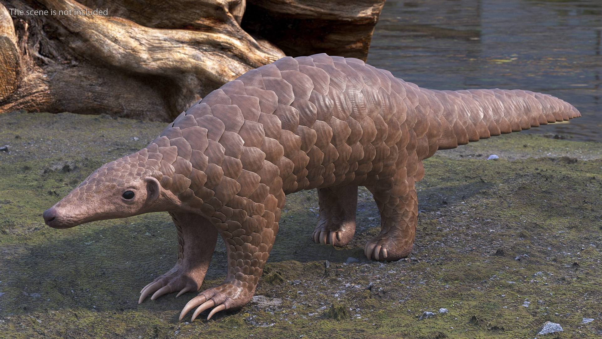 3D model Pangolin Rigged