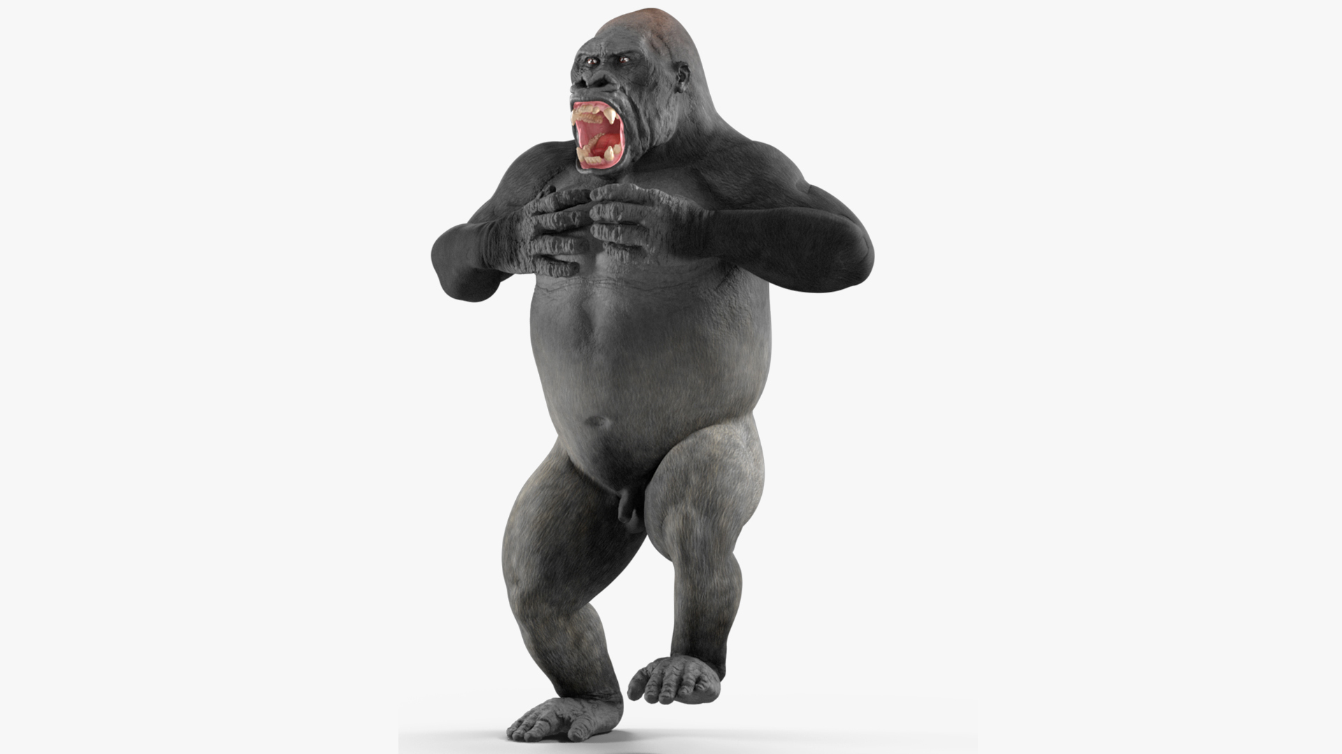 3D Western Gorilla Rigged for Maya