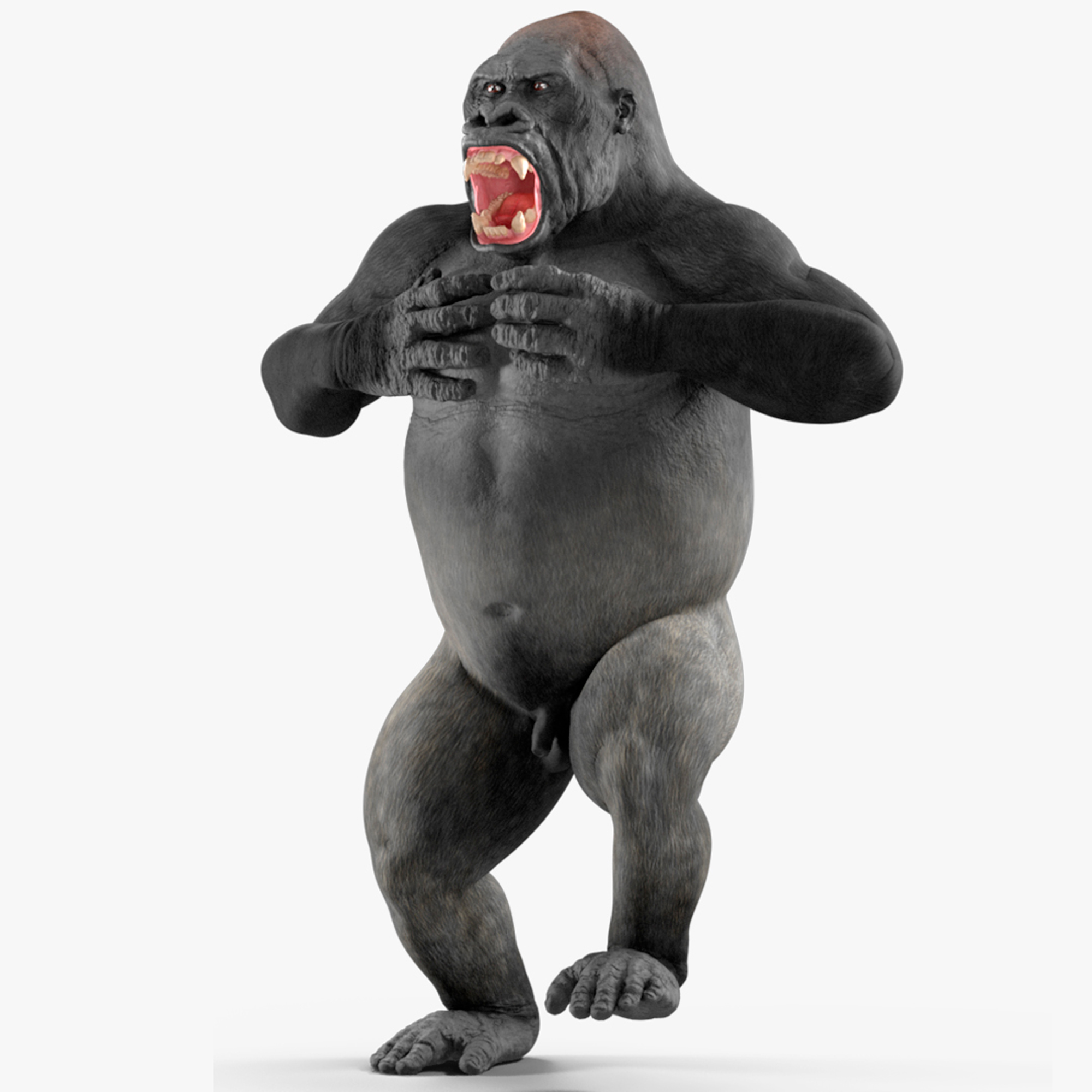 3D Western Gorilla Rigged for Maya