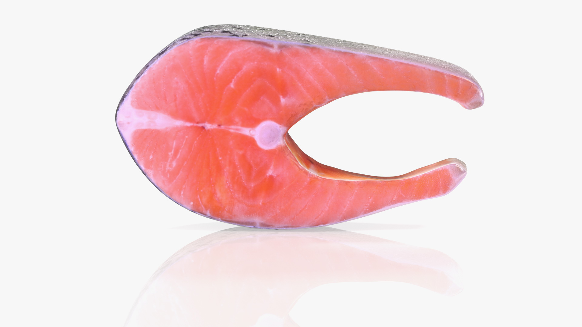 3D Raw Salmon Steak