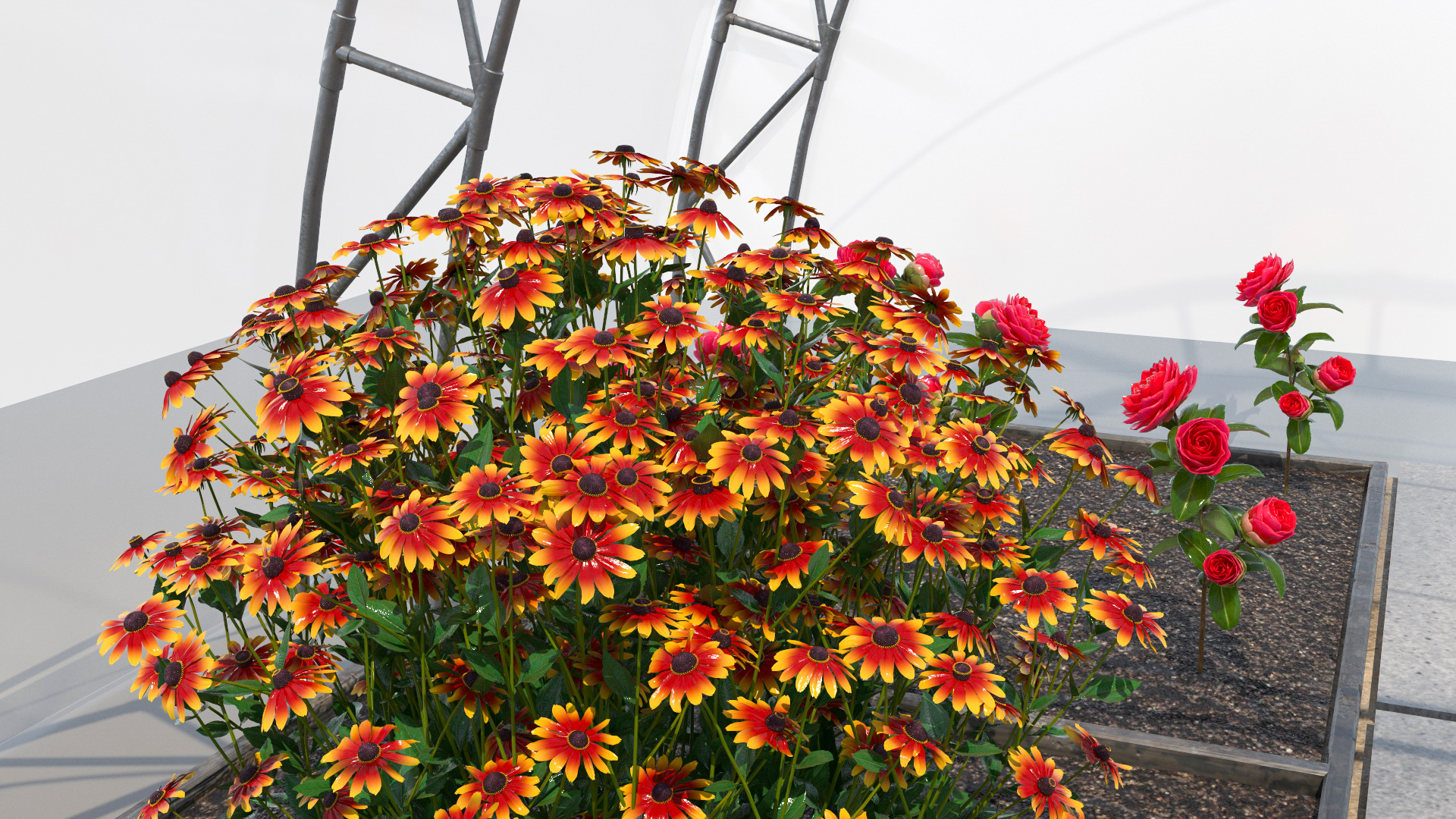 Greenhouse Winter Garden with Flowers 3D