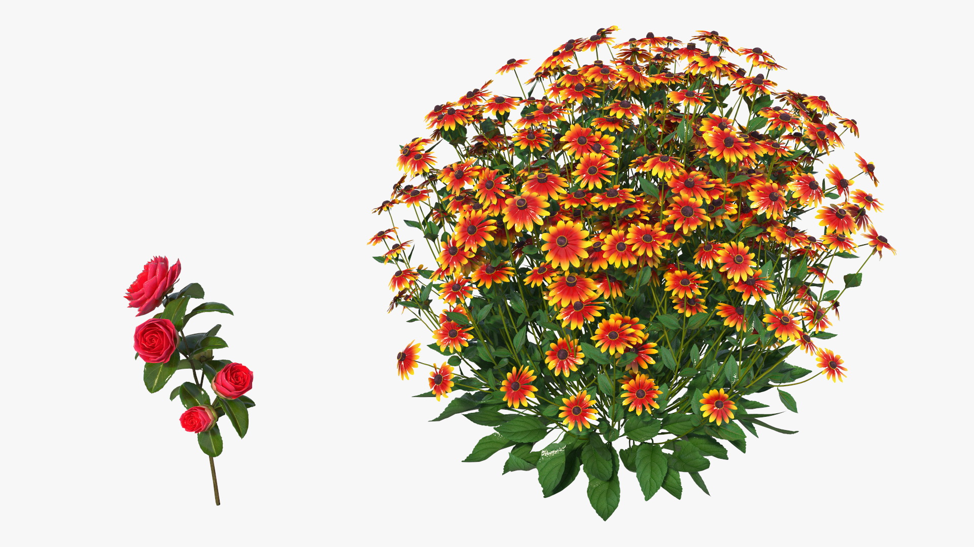 Greenhouse Winter Garden with Flowers 3D