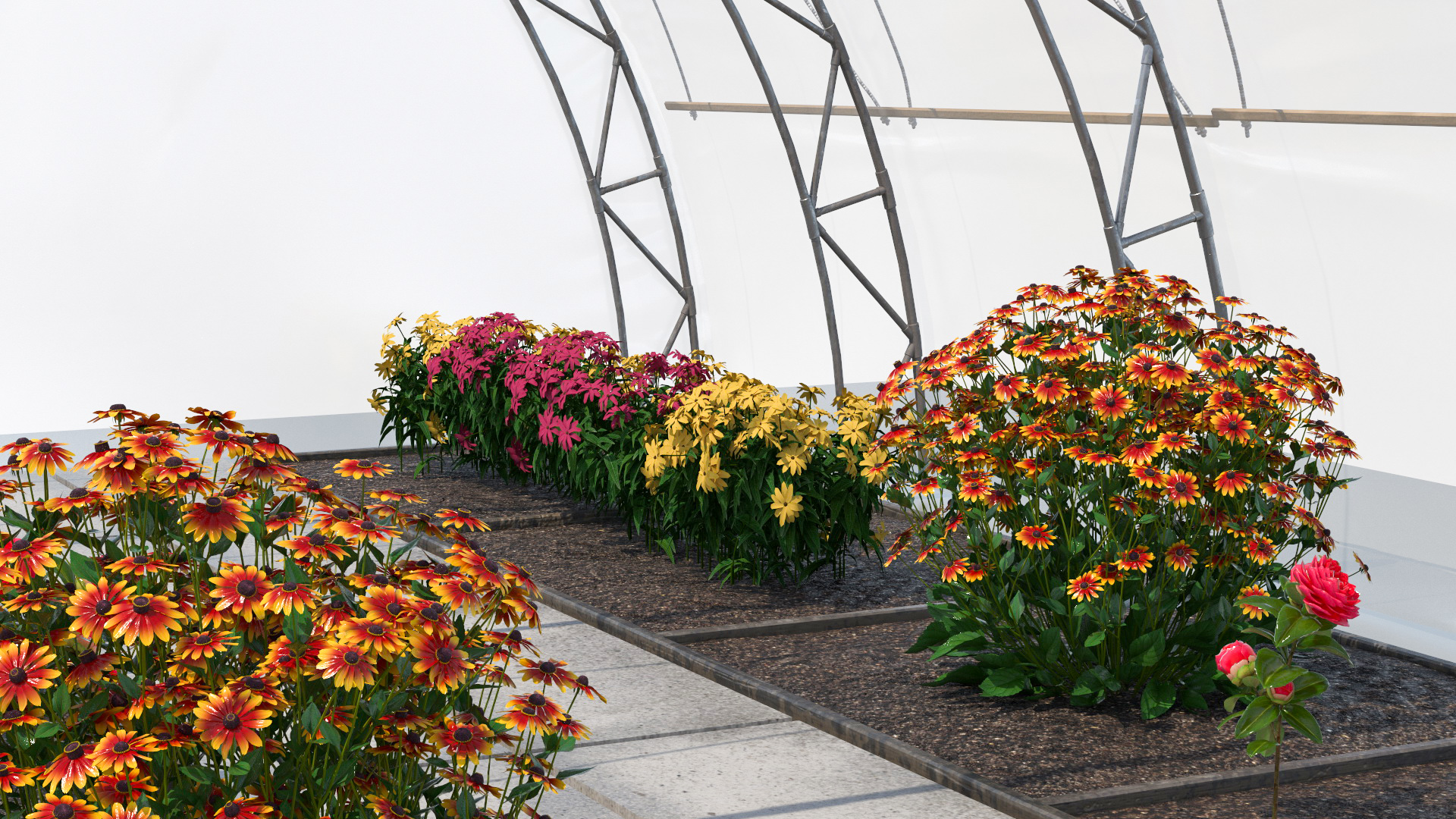 Greenhouse Winter Garden with Flowers 3D