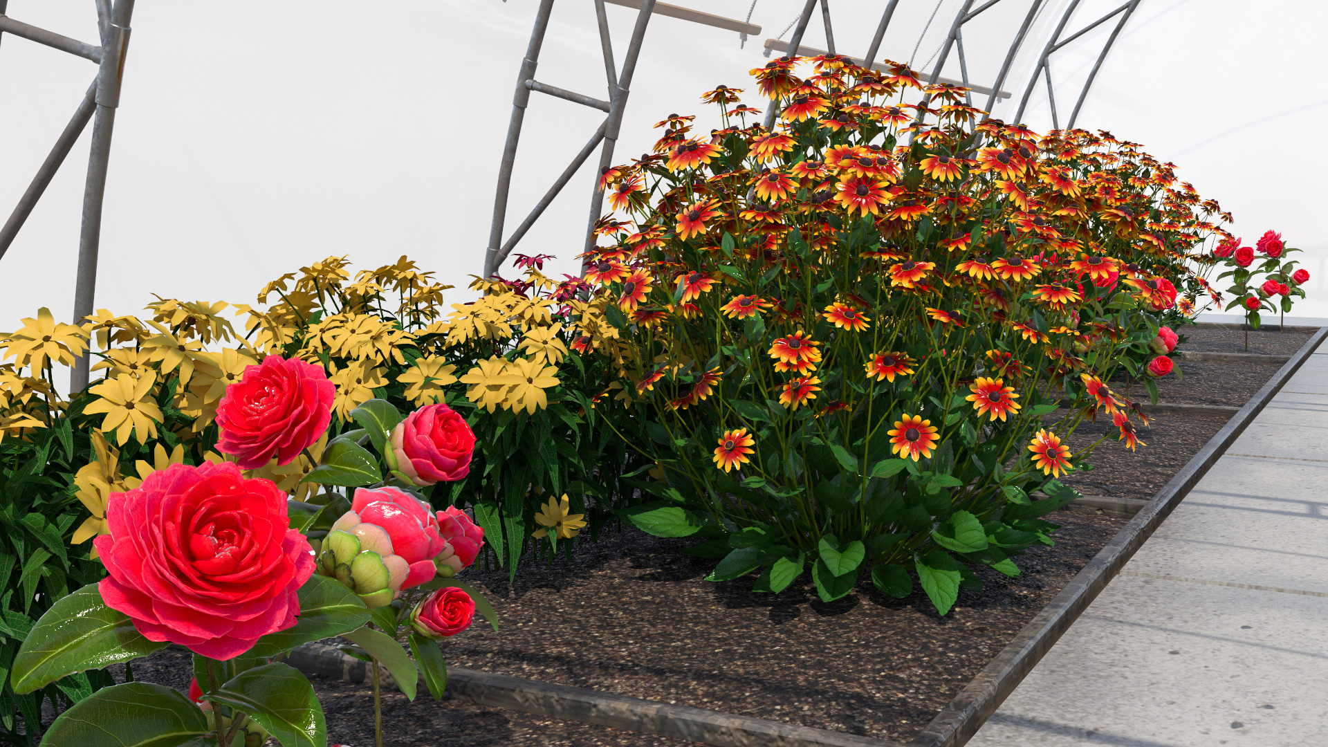 Greenhouse Winter Garden with Flowers 3D