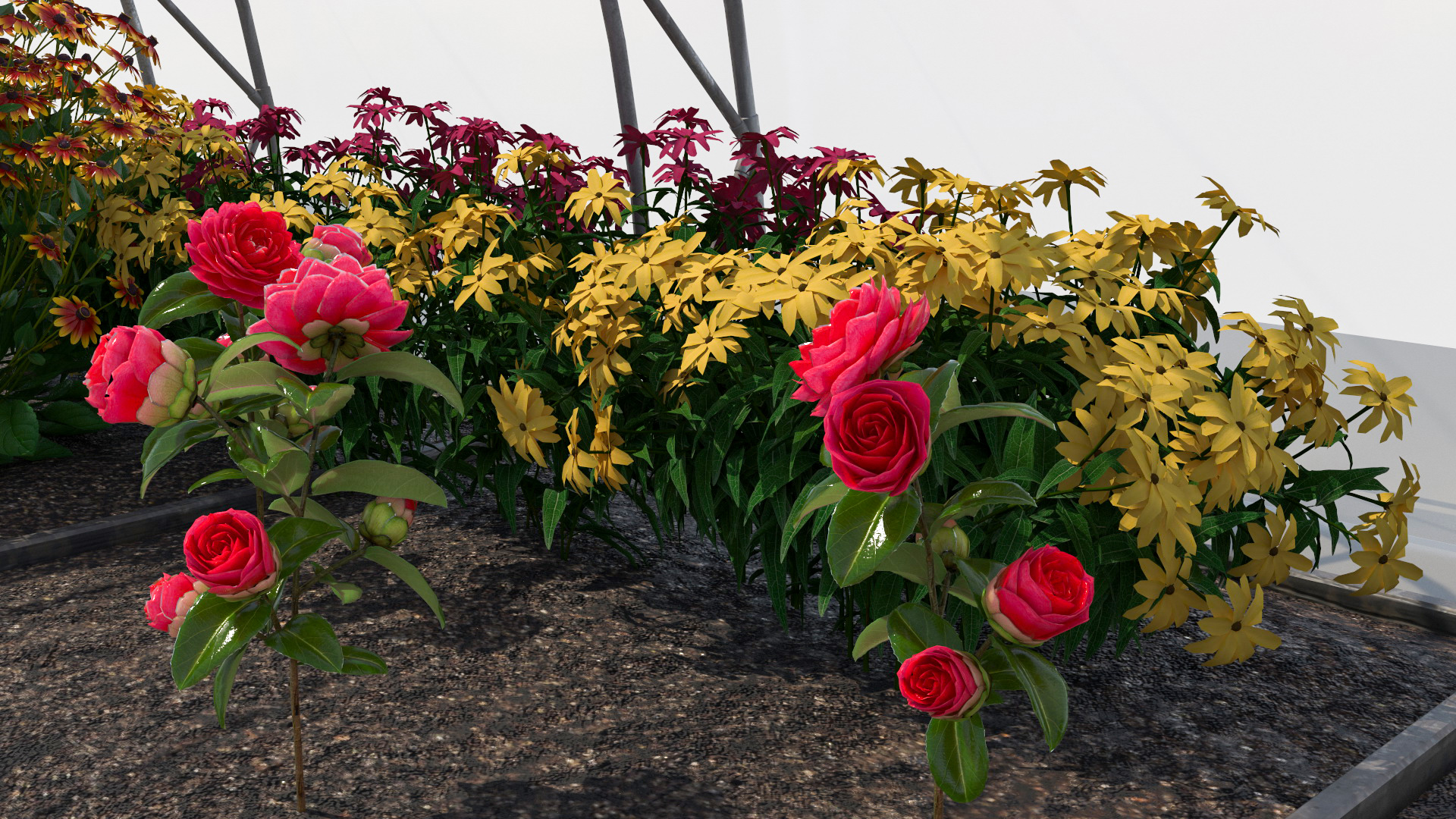 Greenhouse Winter Garden with Flowers 3D