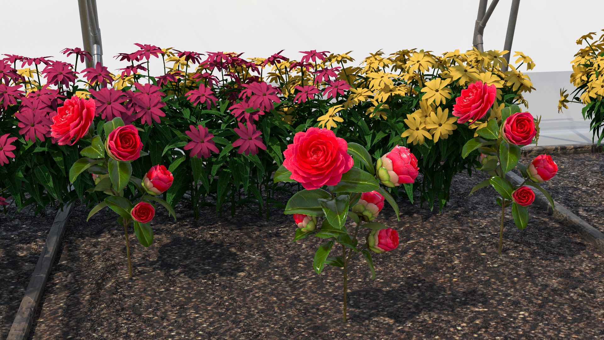 Greenhouse Winter Garden with Flowers 3D