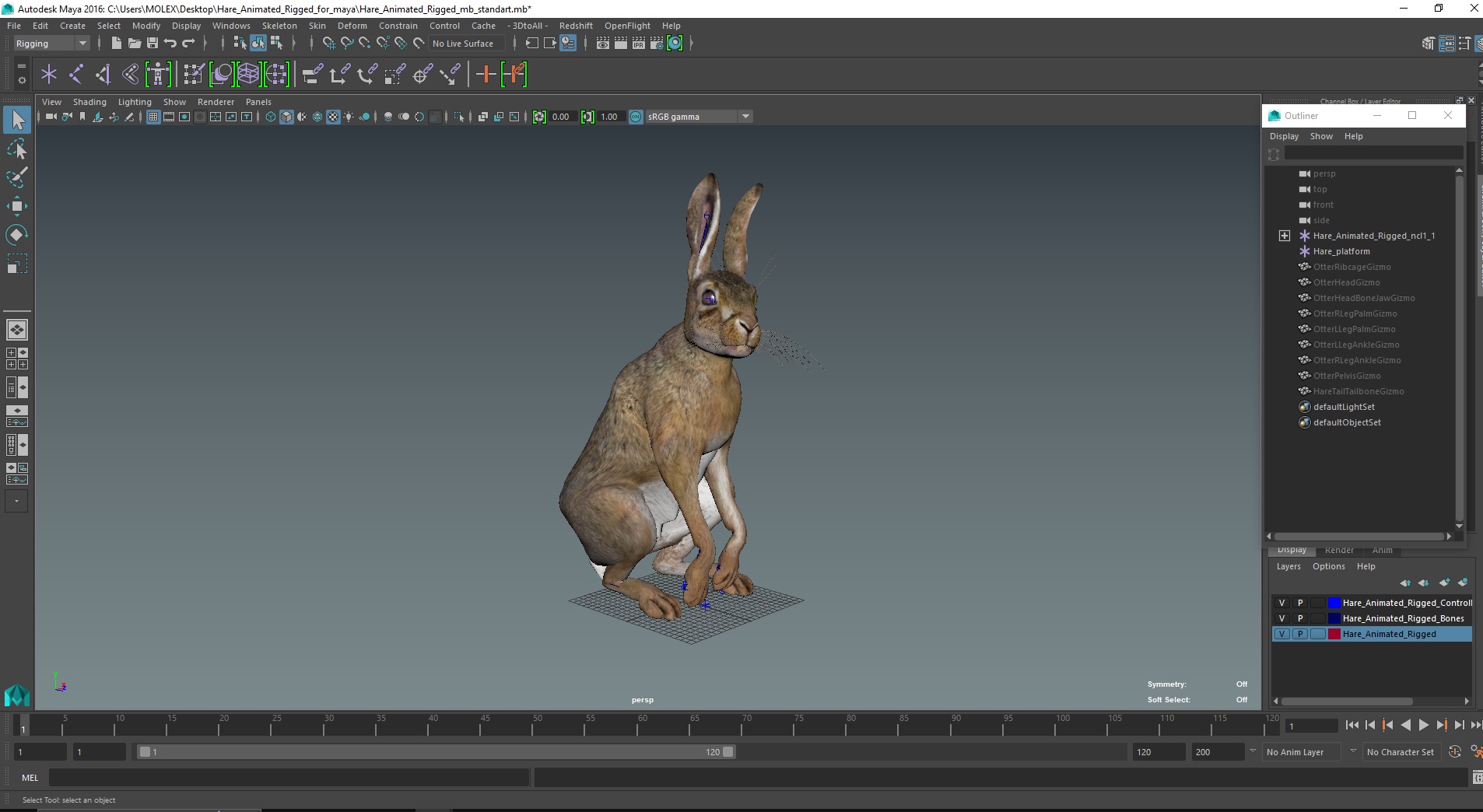 3D model Hare  Animated Rigged for Maya