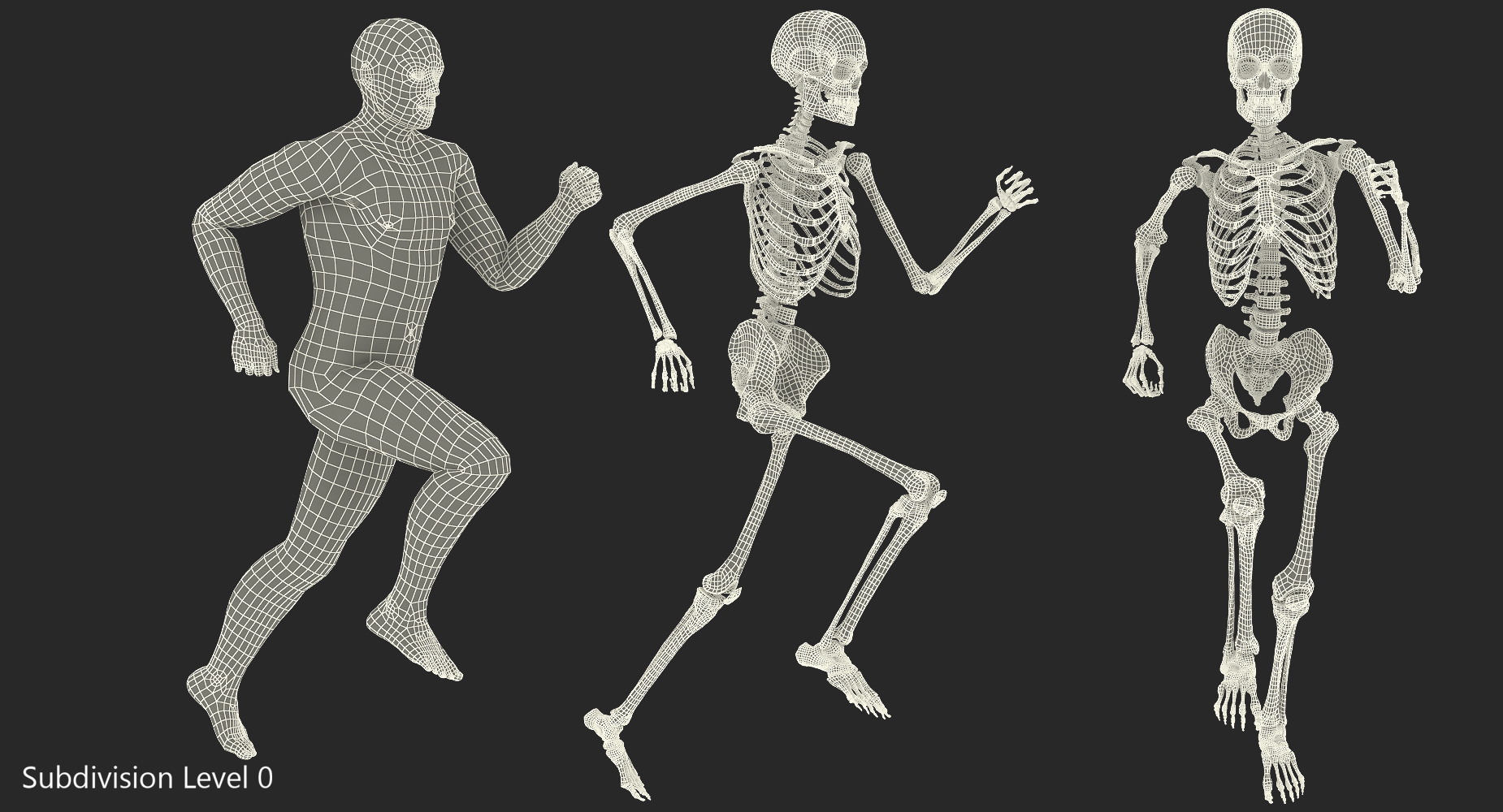 3D Male Body with Skeleton Running Pose