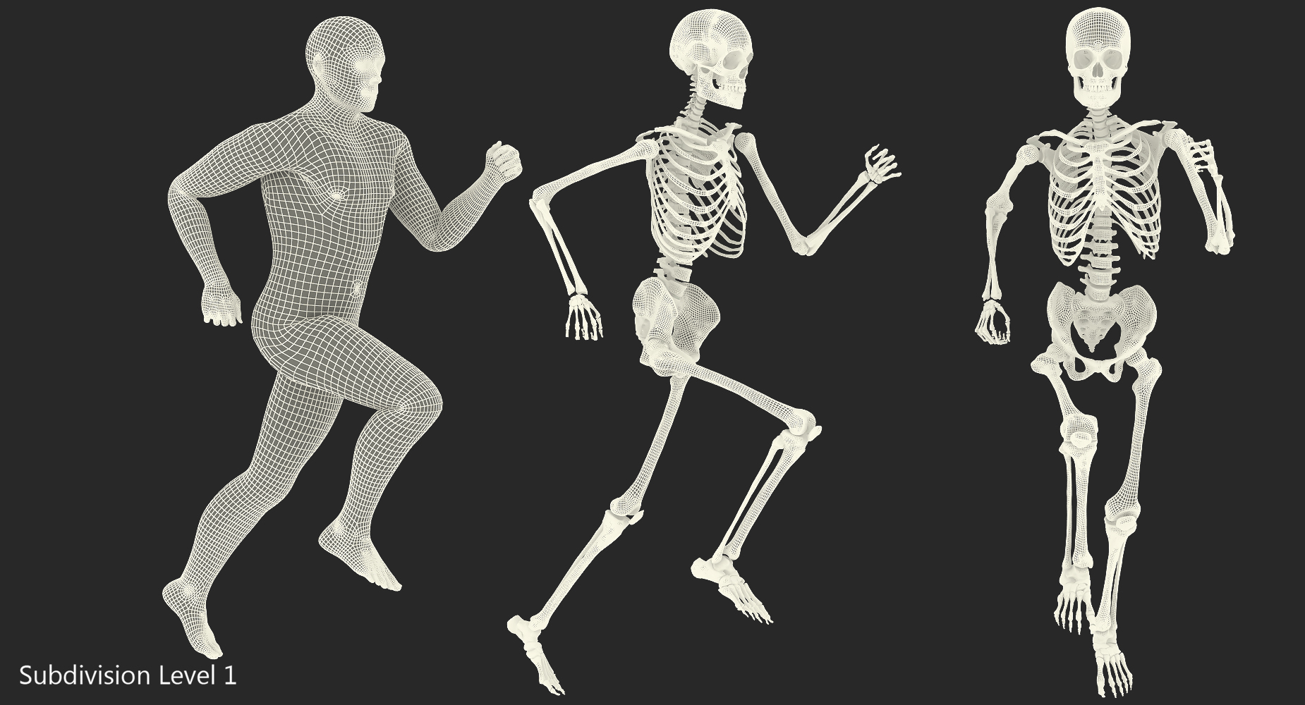 3D Male Body with Skeleton Running Pose