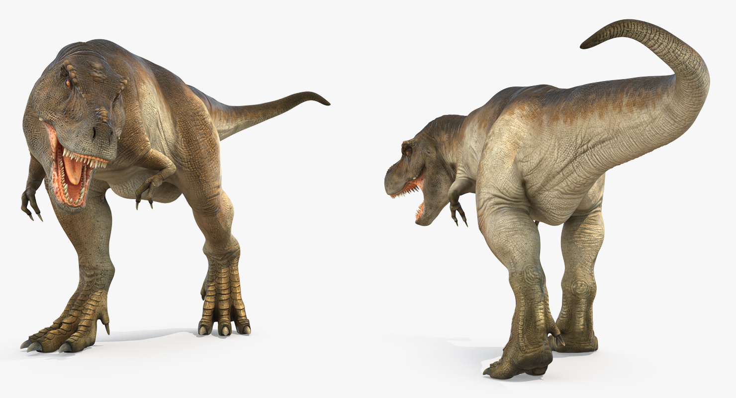 3D model Tyrannosaurus Rex Attacks