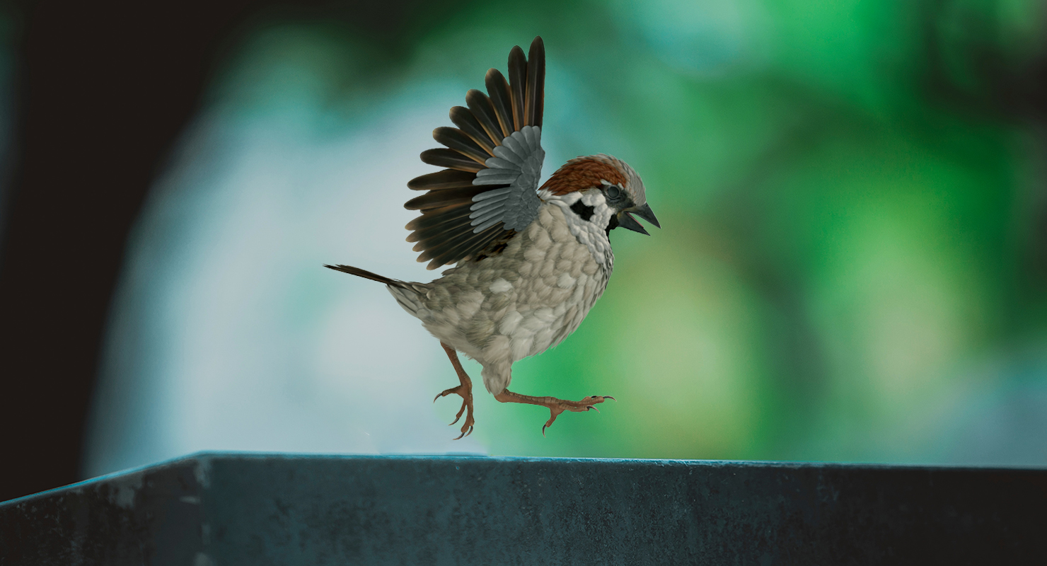 3D model Sparrow Walking Pose