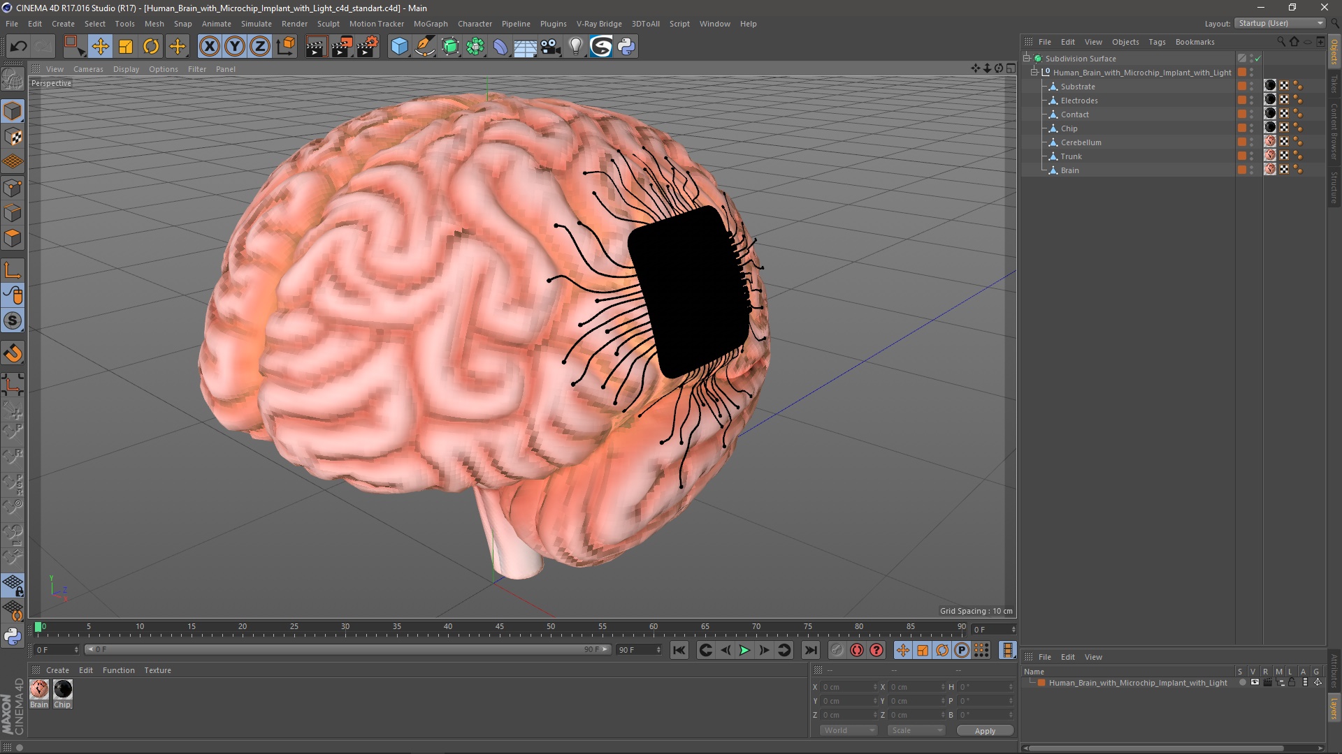 3D model Human Brain with Microchip Implant with Light