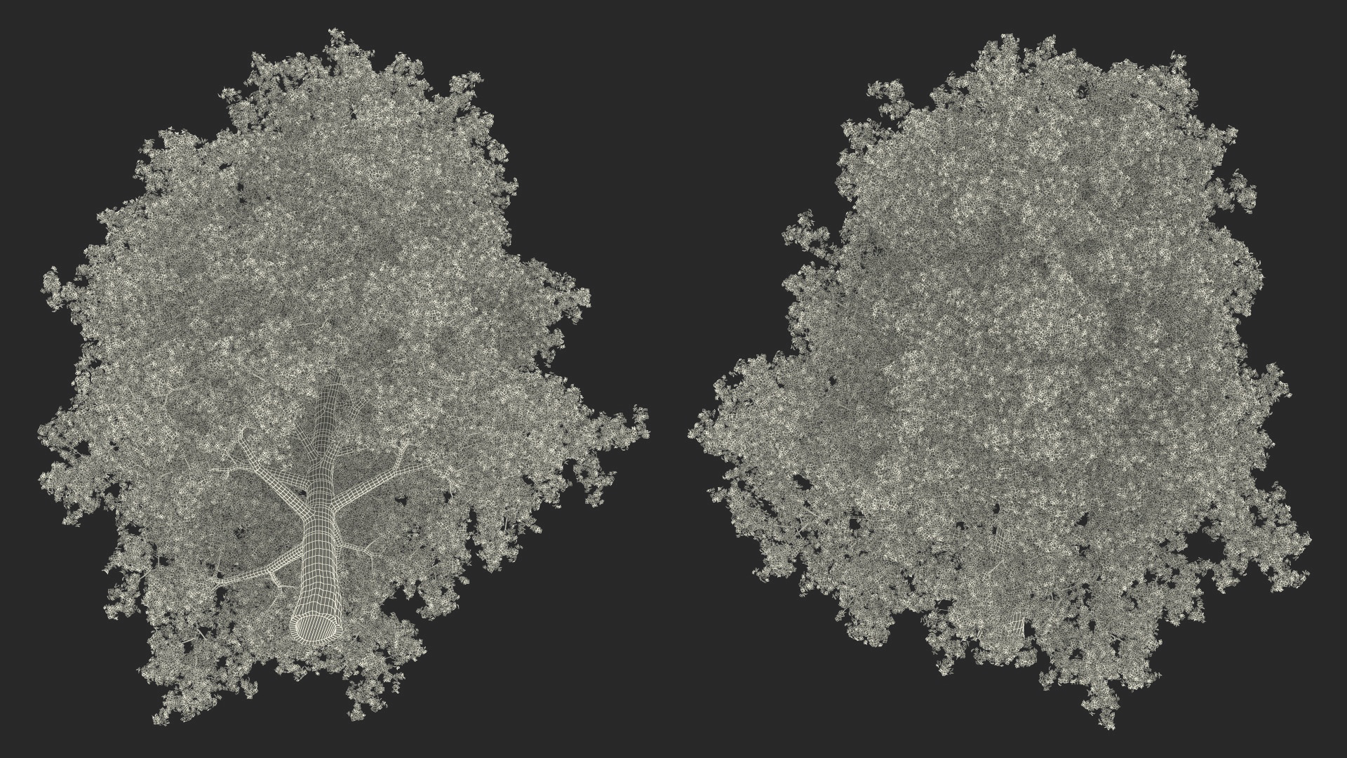 3D Autumn Poplar Tree model