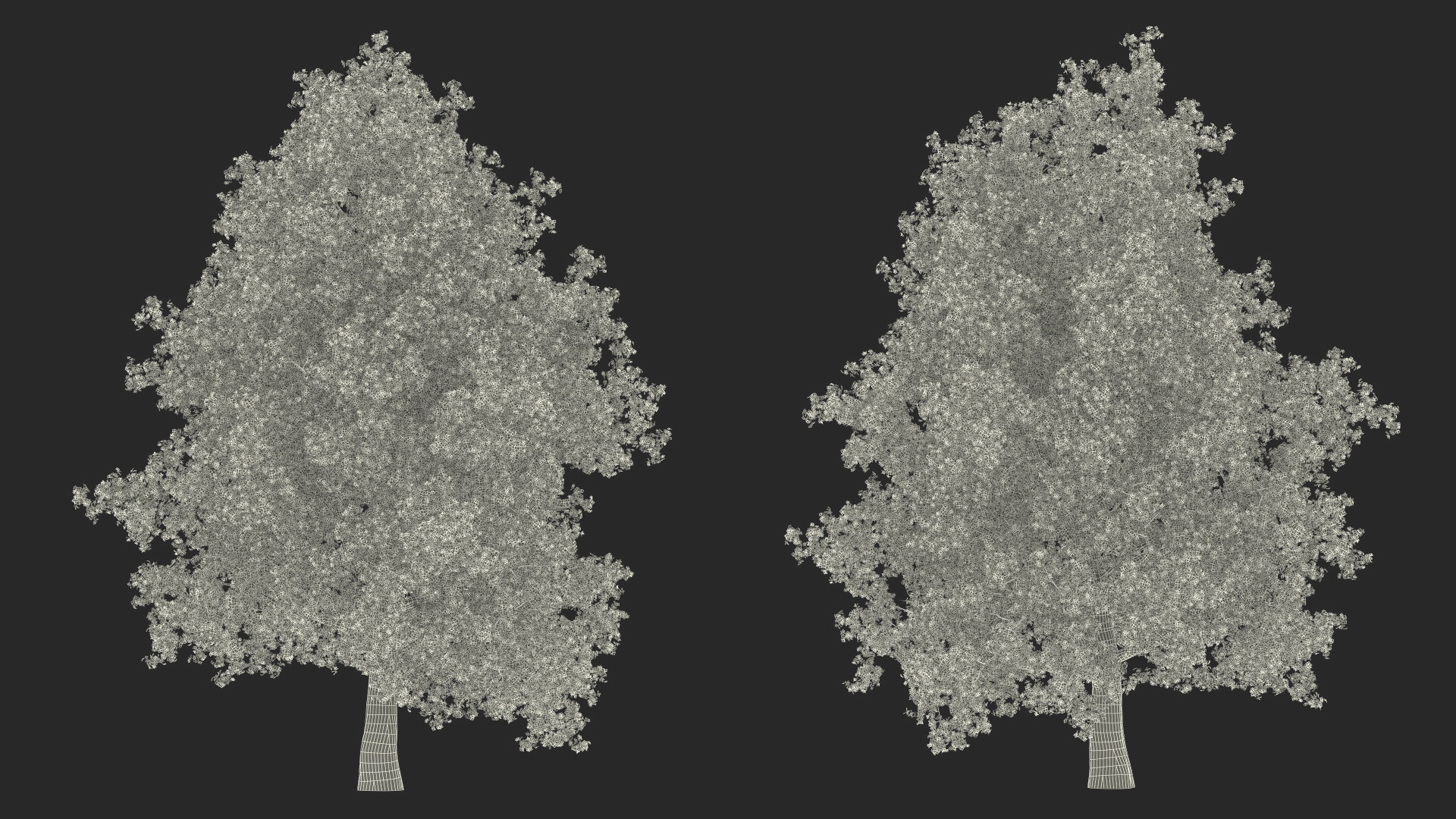 3D Autumn Poplar Tree model