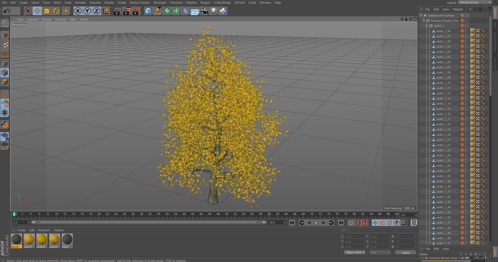 3D Autumn Poplar Tree model