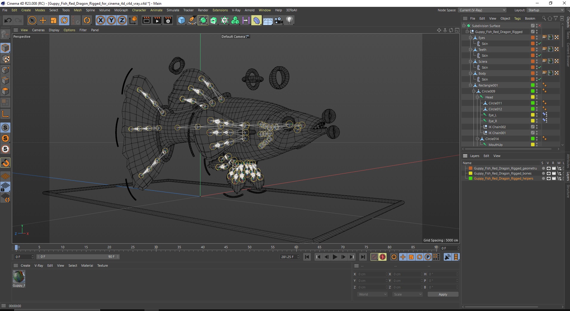 Guppy Fish Red Dragon Rigged for Cinema 4D 3D