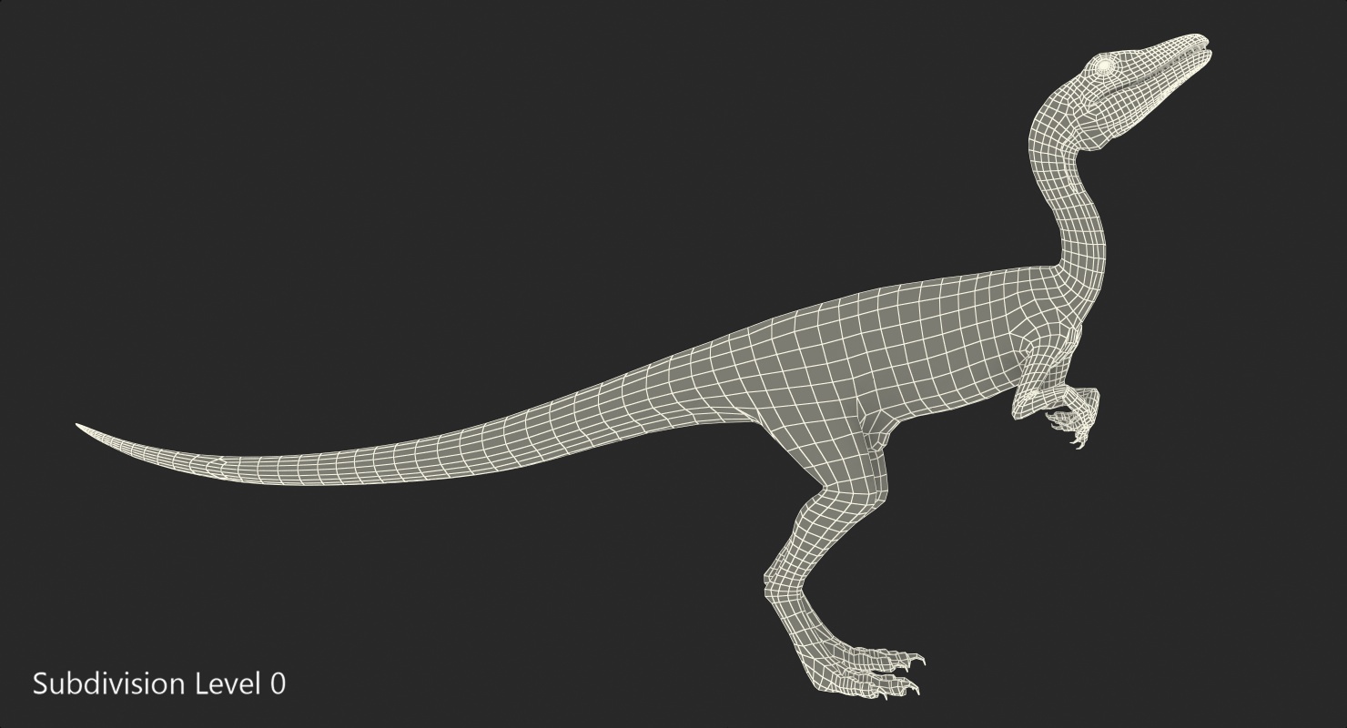 3D model Dinosaur Compsognathus Worried Pose