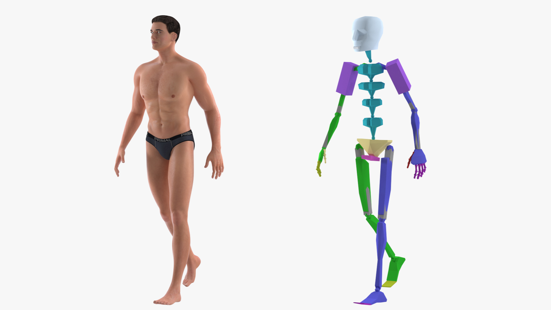 3D Fit Athletic Man Rigged model