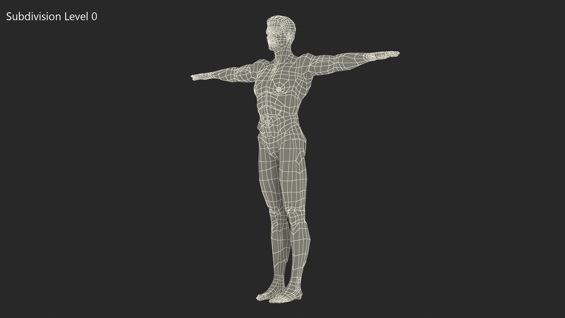 3D Fit Athletic Man Rigged model