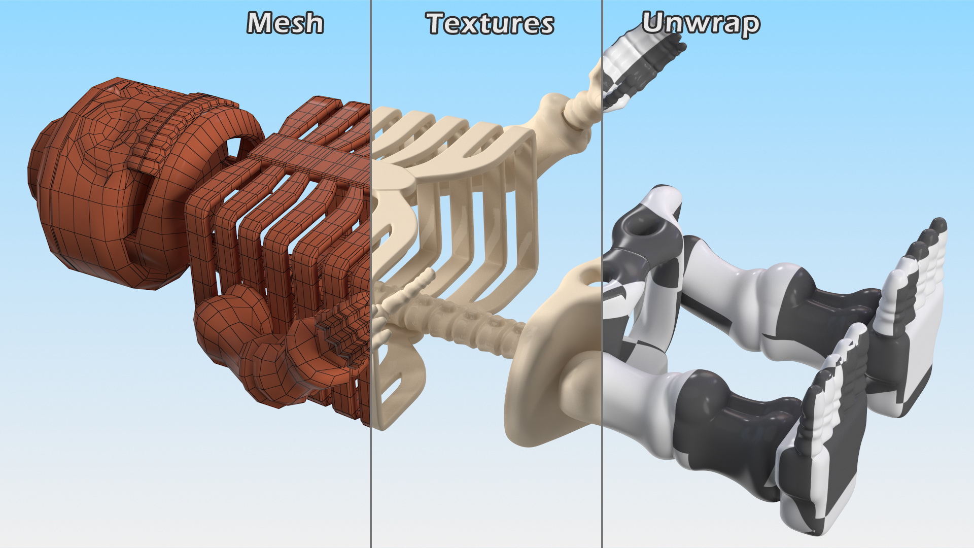 3D Anatomical LEGO Man Skeleton model