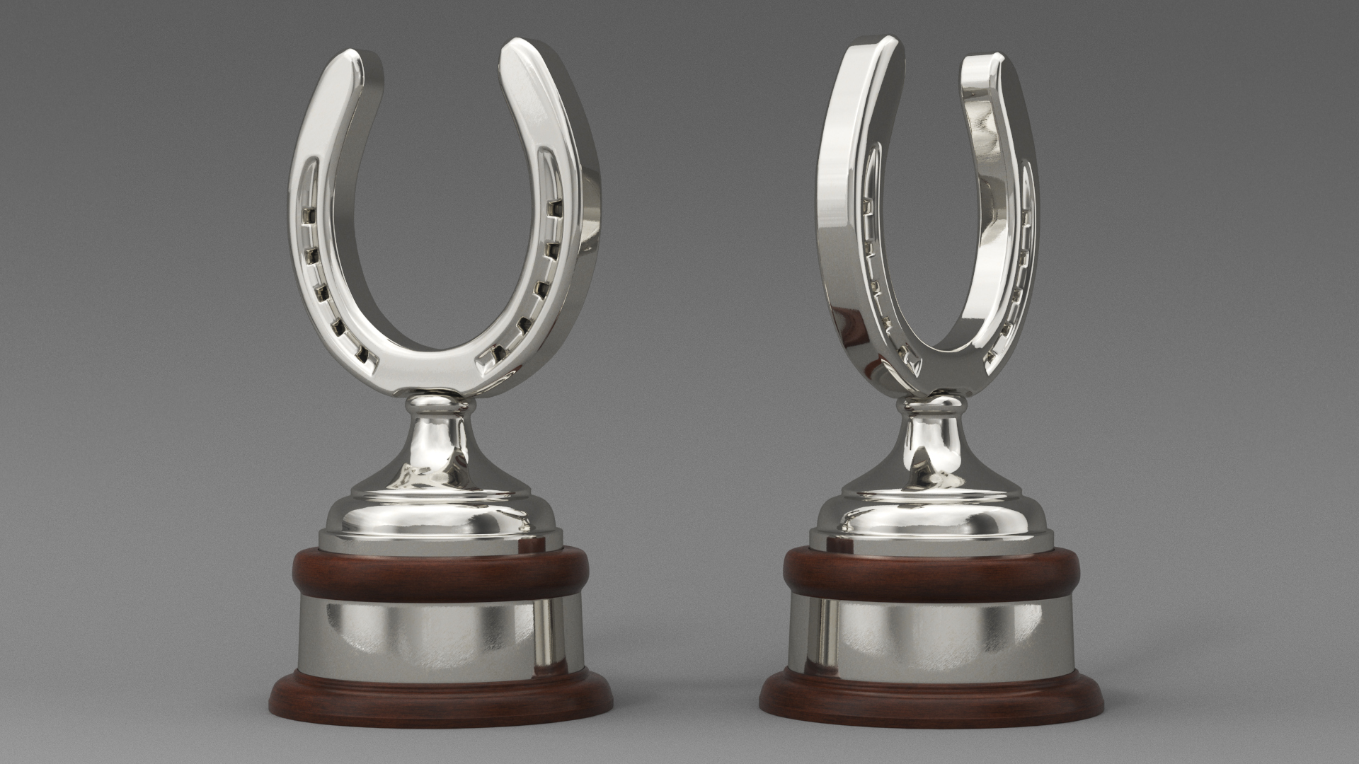 Silver Horseshoe Award 3D