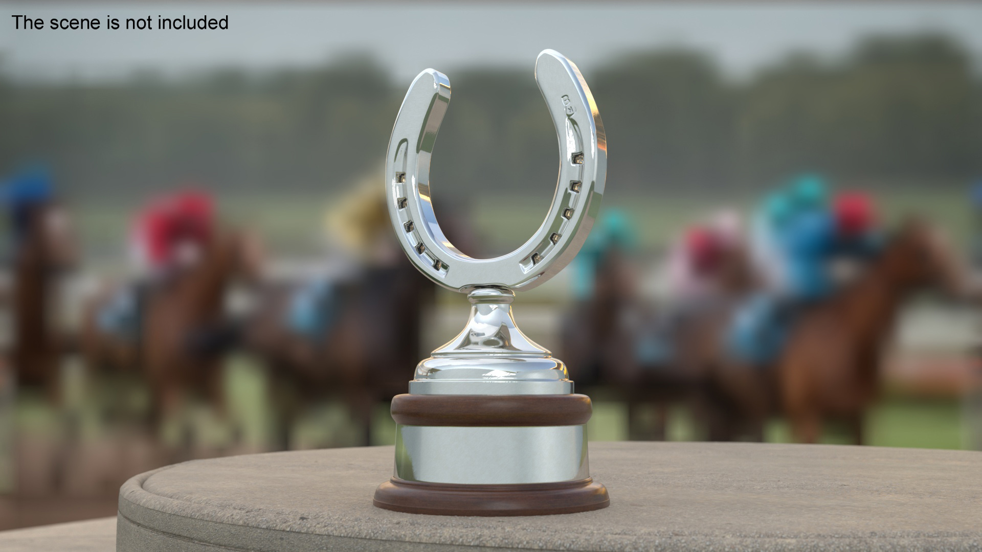 Silver Horseshoe Award 3D