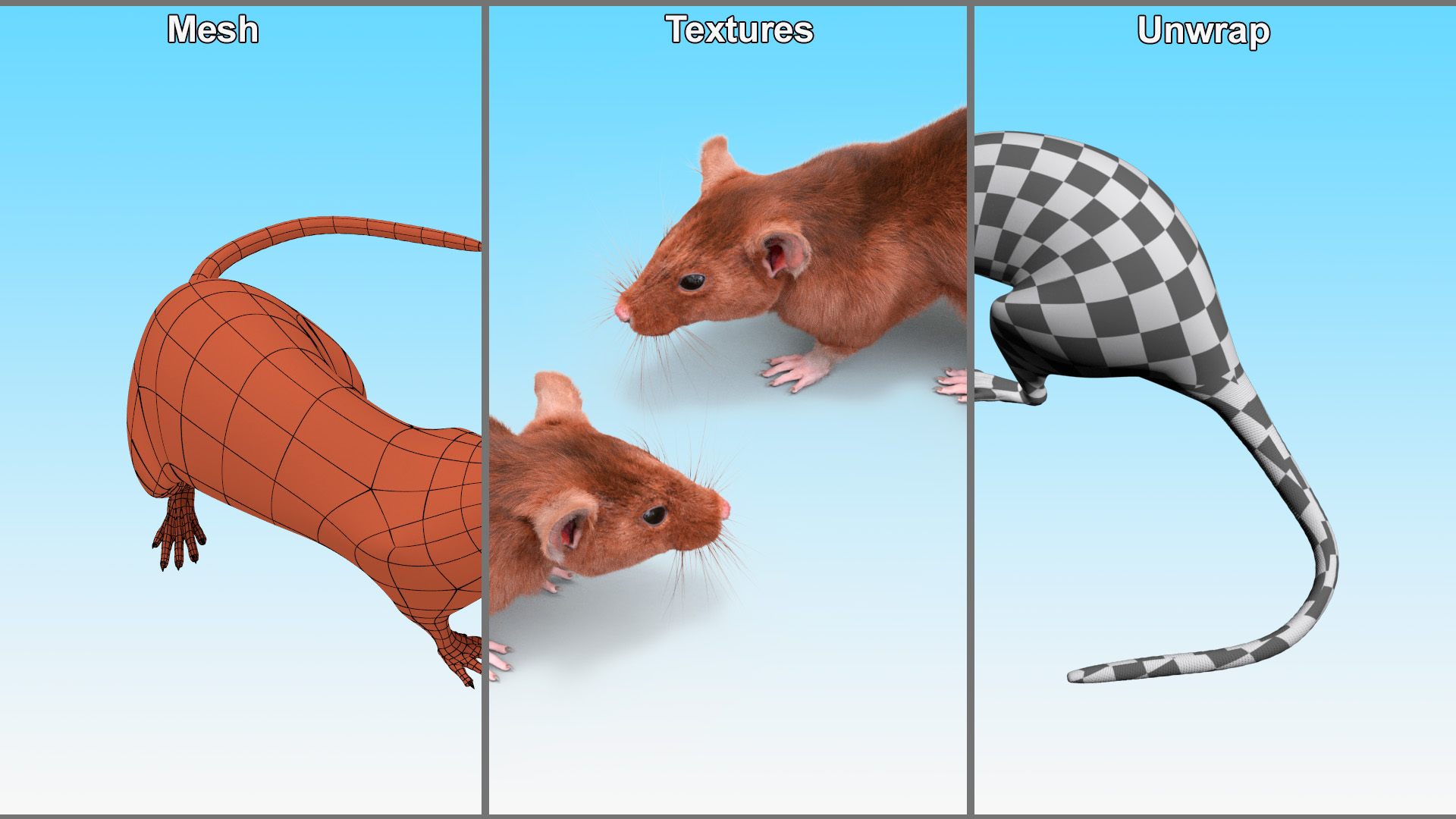 Lifelike Rodent Rat 3D model