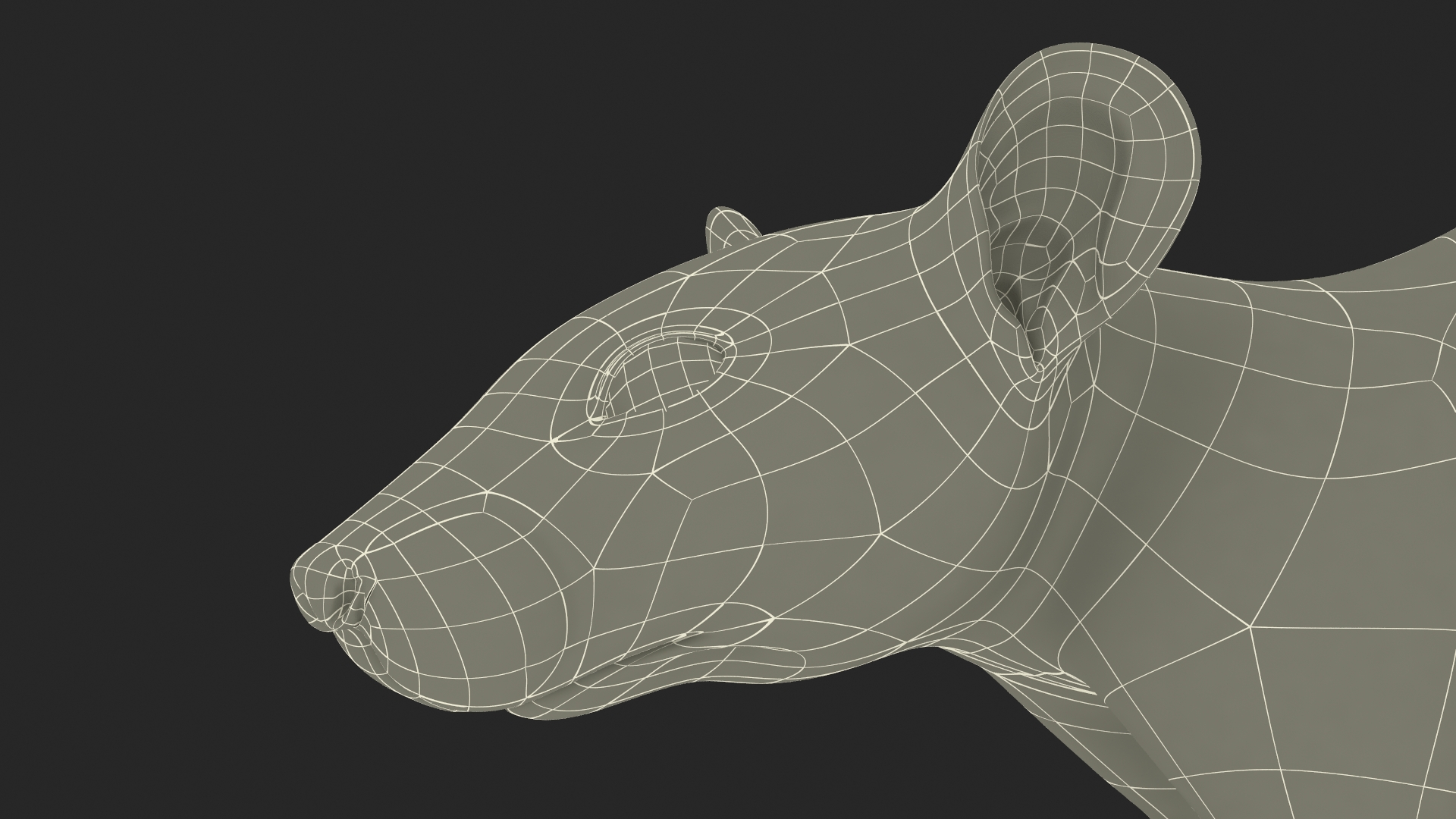 Lifelike Rodent Rat 3D model