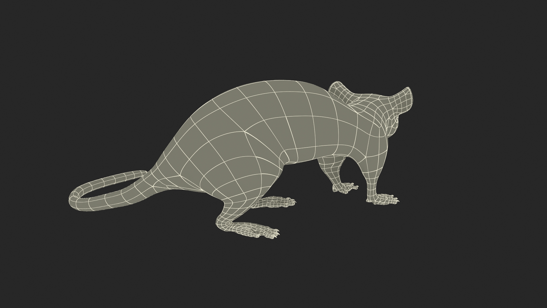 Lifelike Rodent Rat 3D model