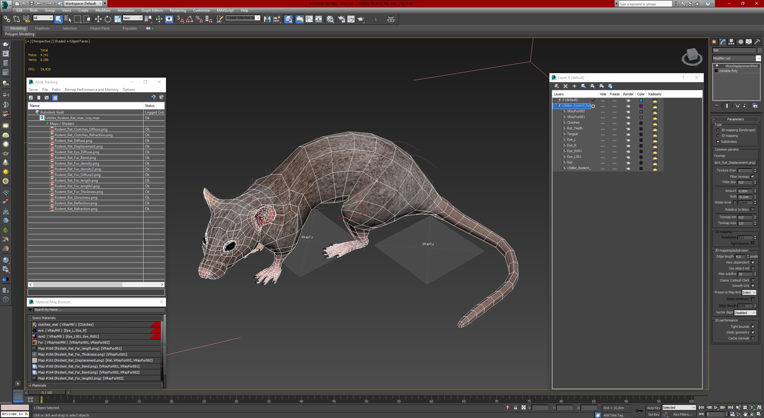 Lifelike Rodent Rat 3D model