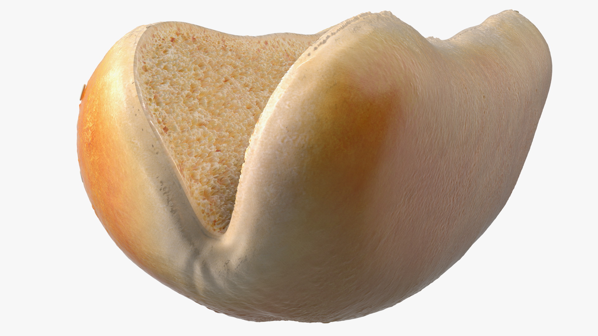 Cut Sesame Bun 3D model