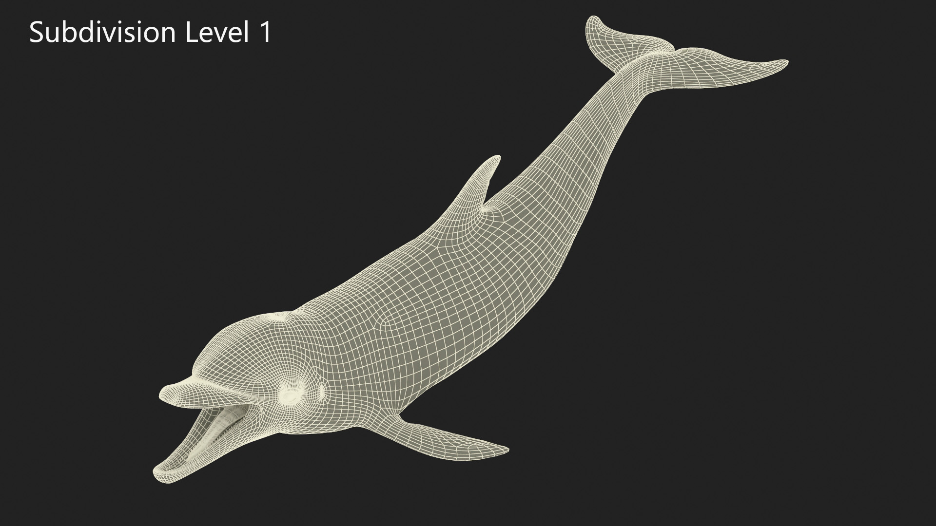 3D model Common Bottlenose Dolphin