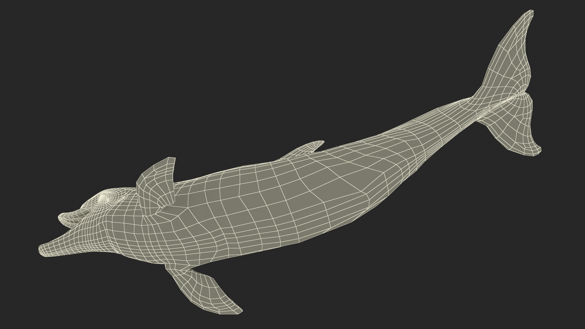 3D model Common Bottlenose Dolphin