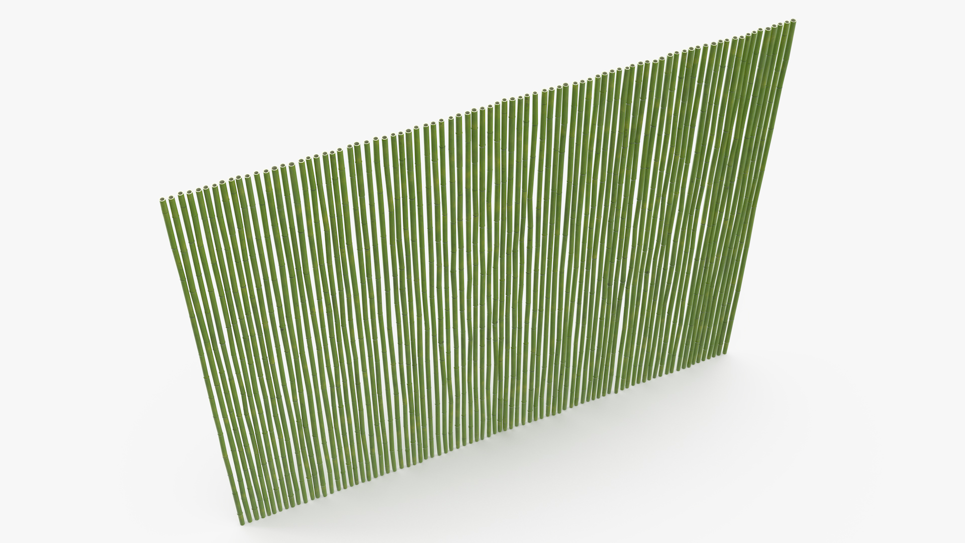 3D Natural Bamboo Fence Green