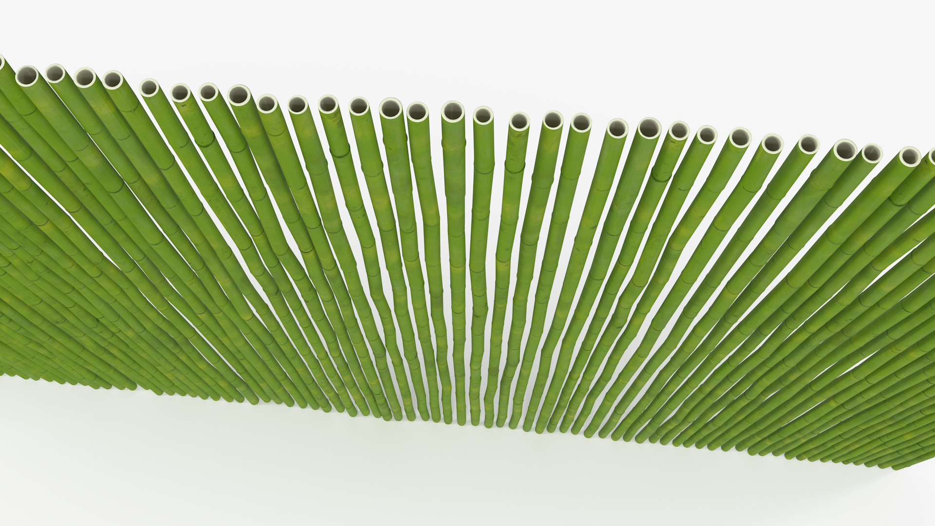 3D Natural Bamboo Fence Green