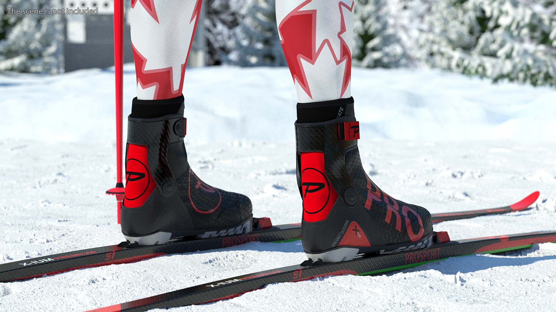 Biathlon Equipment Team Canada Set 3D model