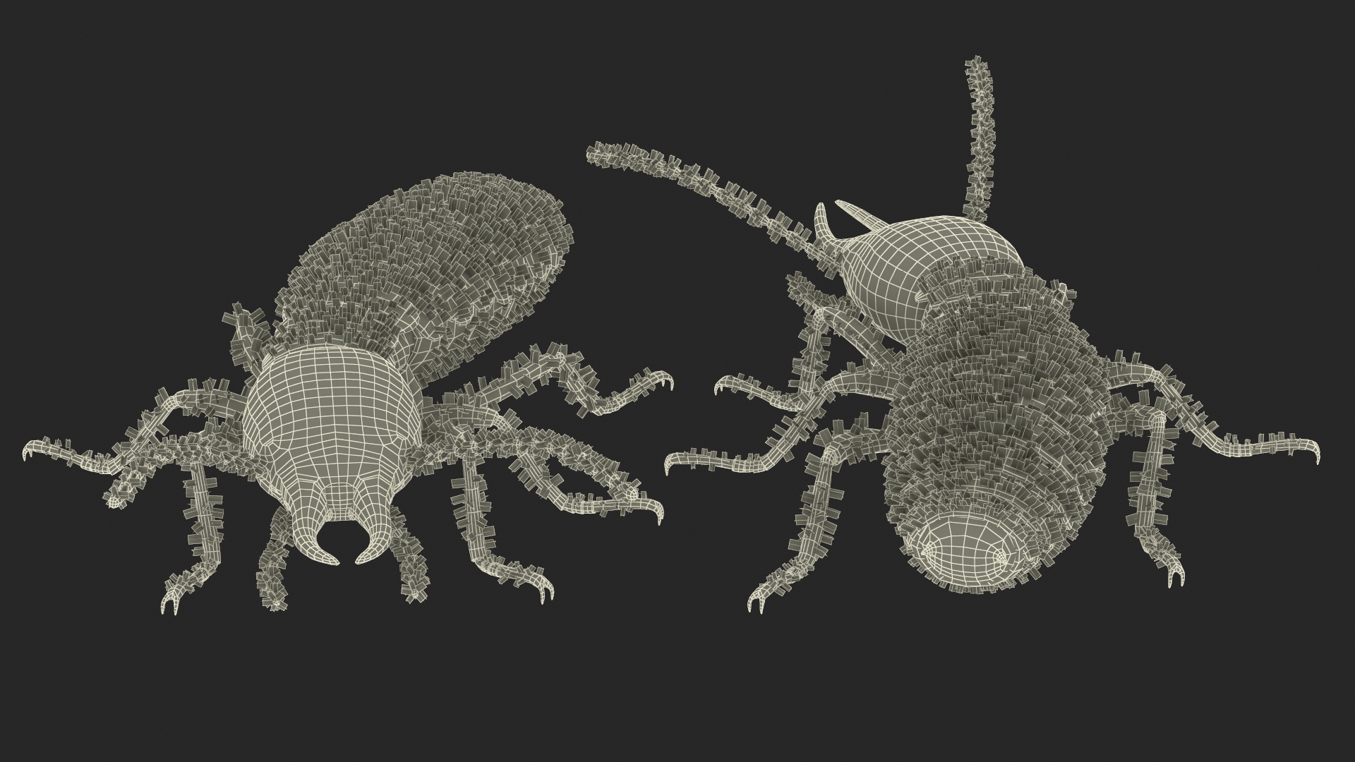 Termite in Creeping Pose 3D model