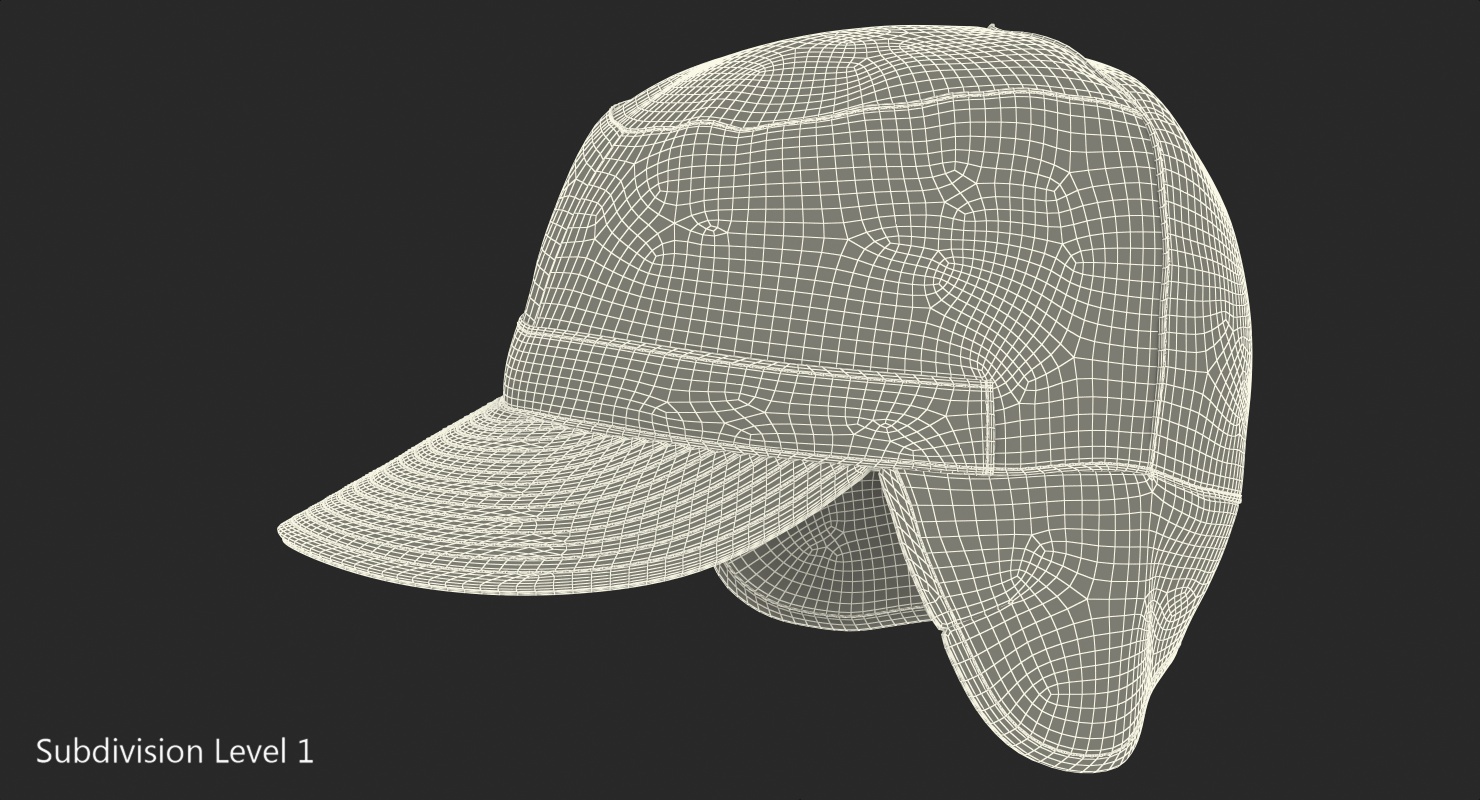 3D Camo Field Cap with Earflaps model