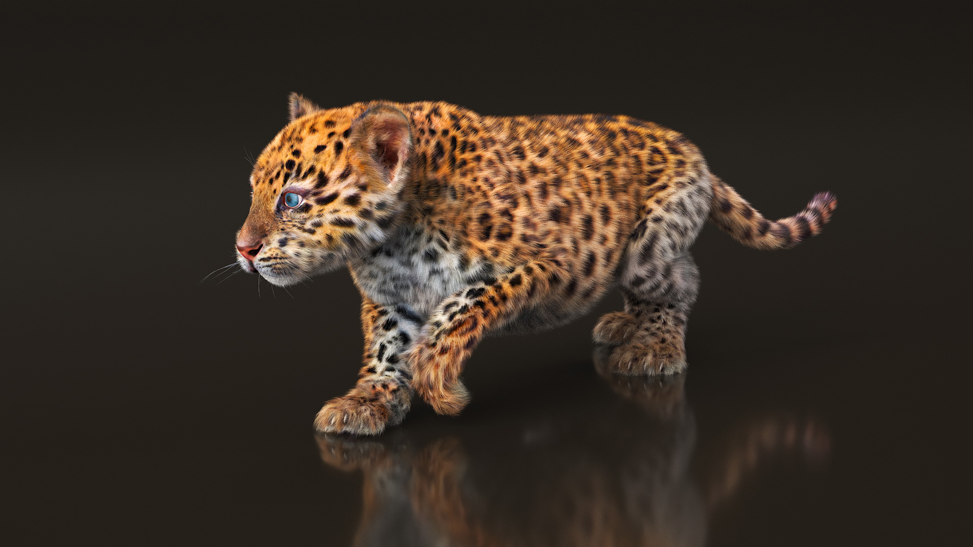 Leopard Cub Sneaking Pose with Fur 3D model