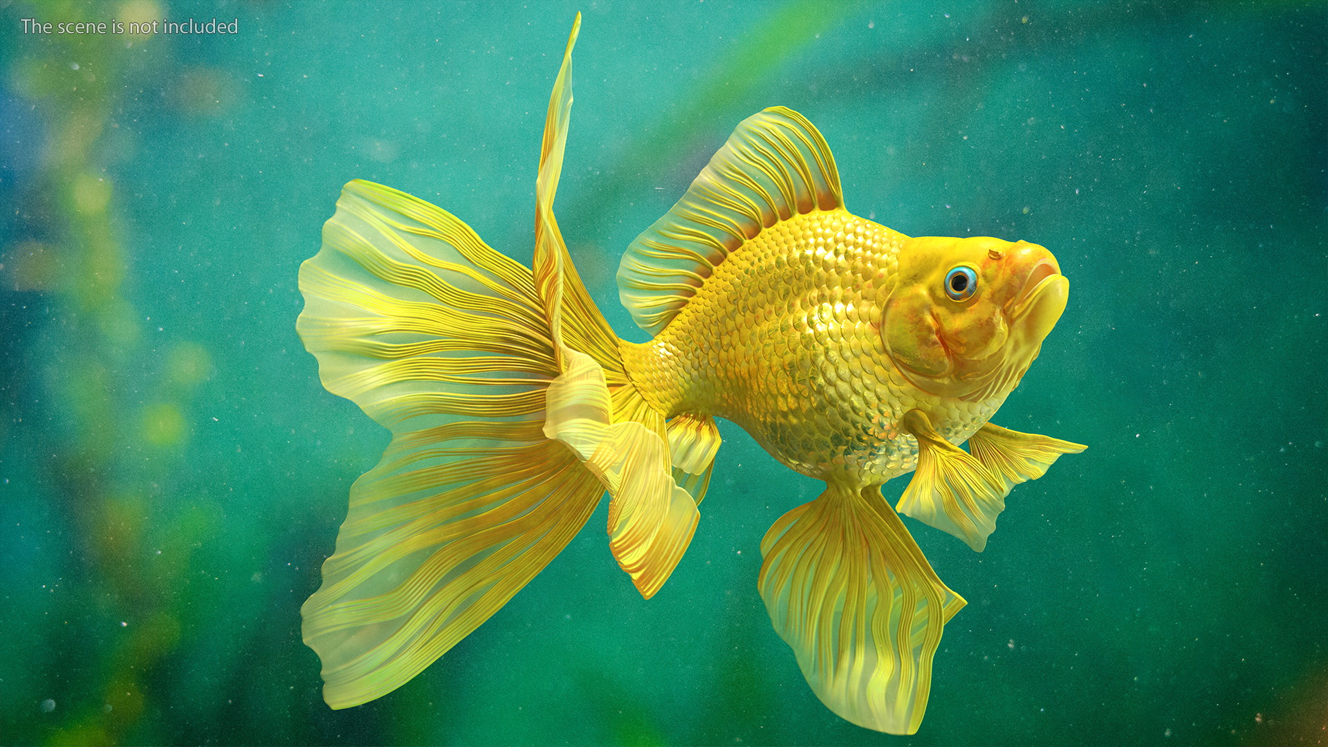 3D model Goldfish Rigged