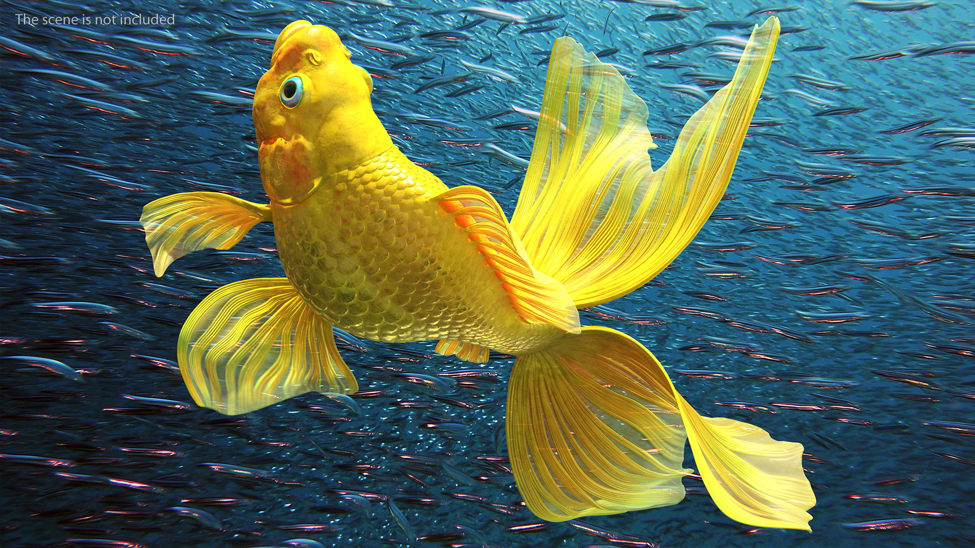 3D model Goldfish Rigged