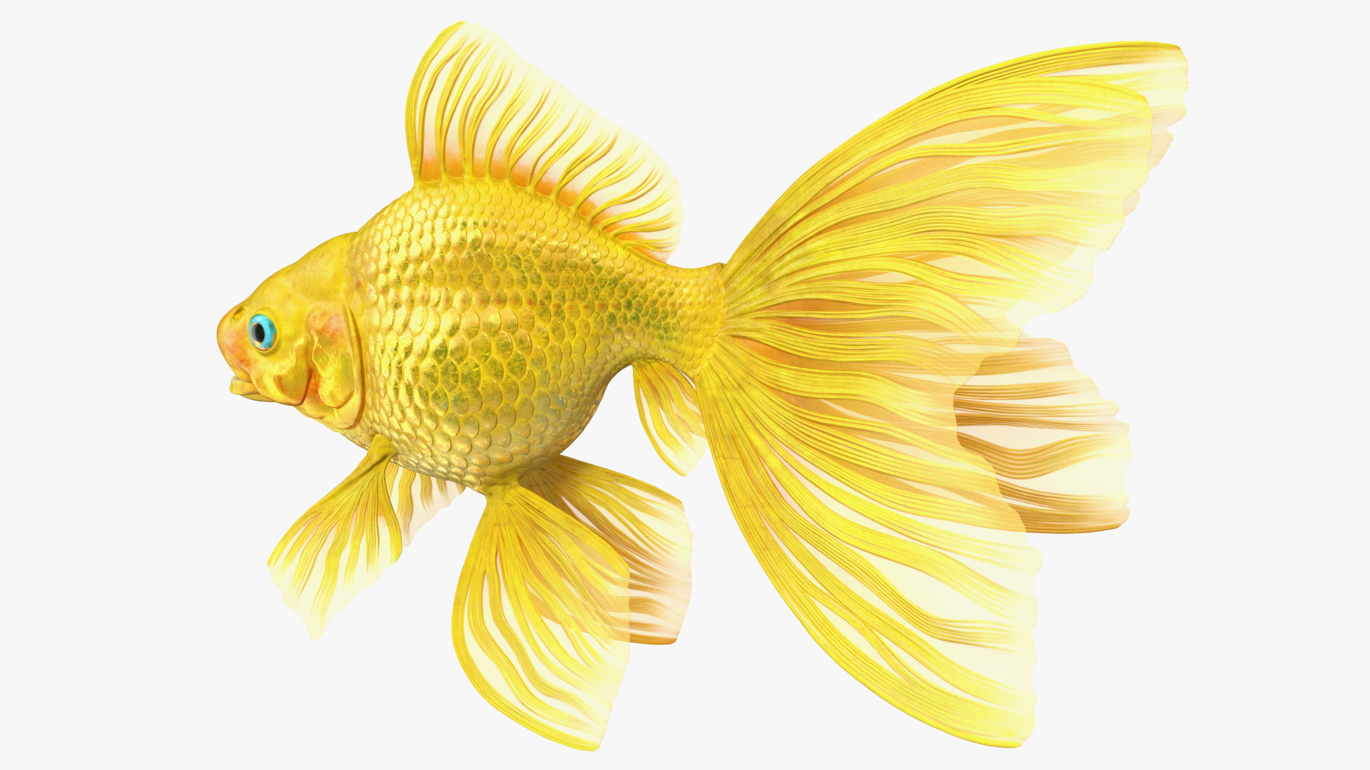 3D model Goldfish Rigged