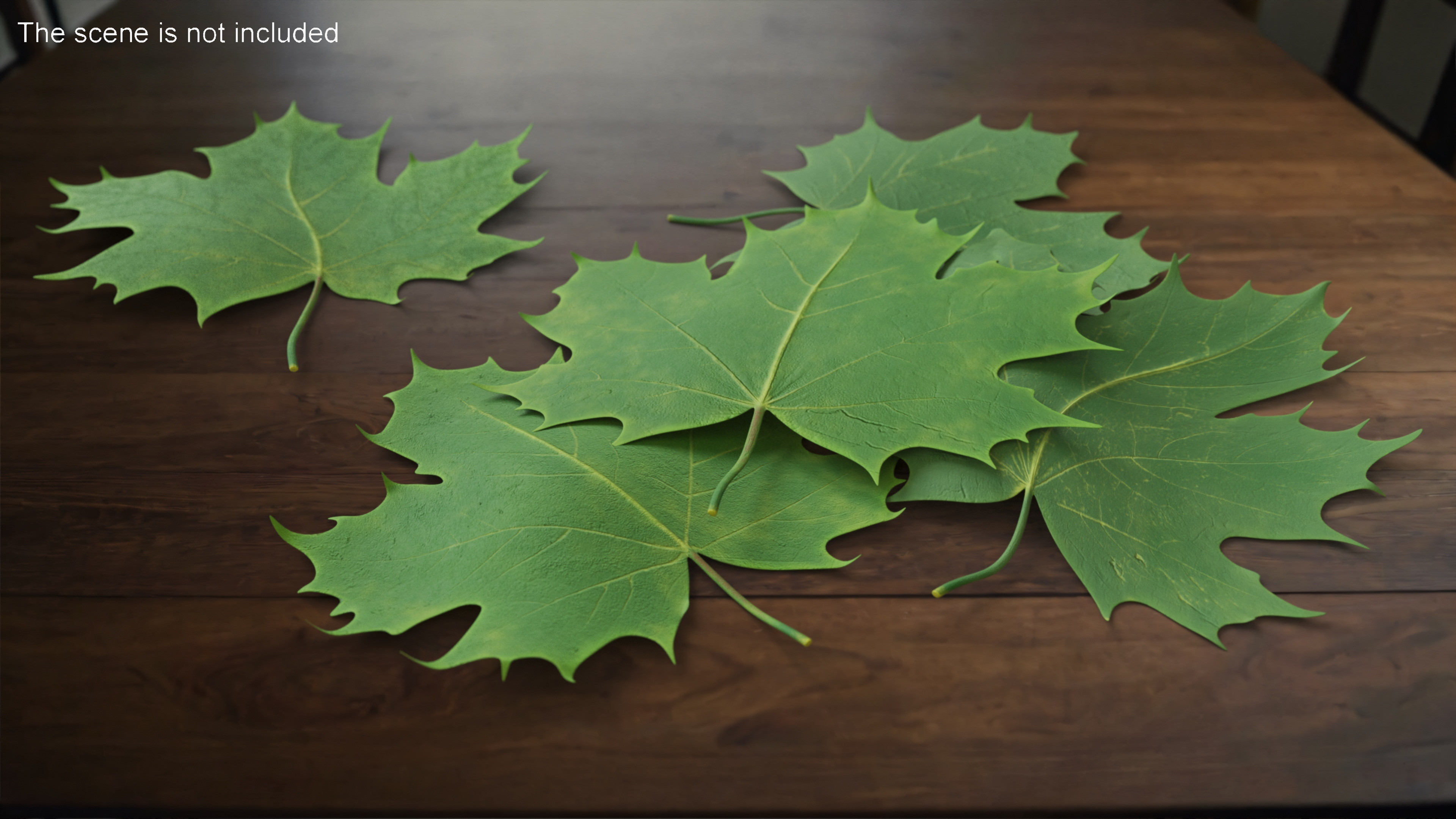 3D Green Maple Leaves model