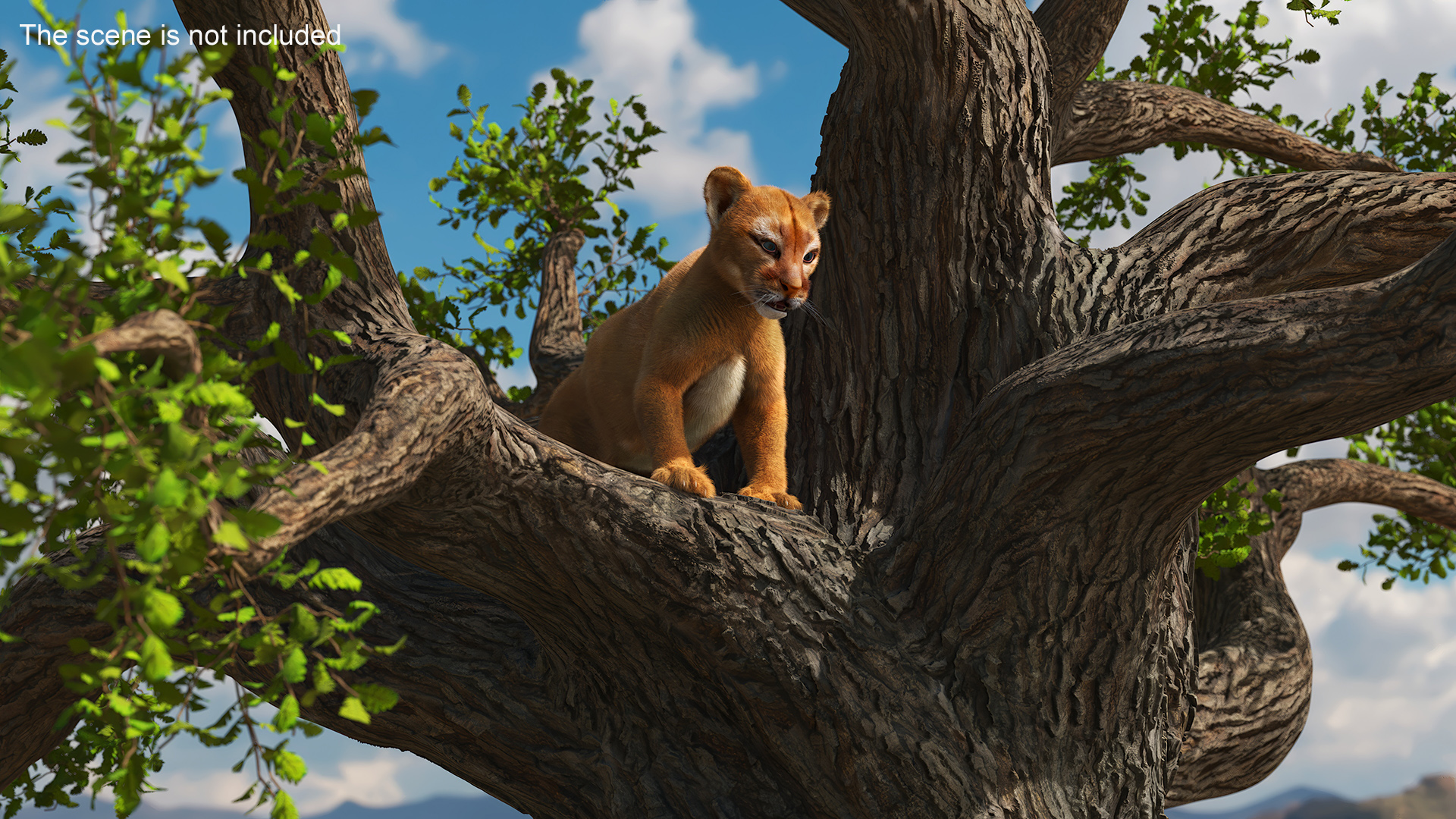 3D Puma Cub on Ancient Twisted Tree Fur