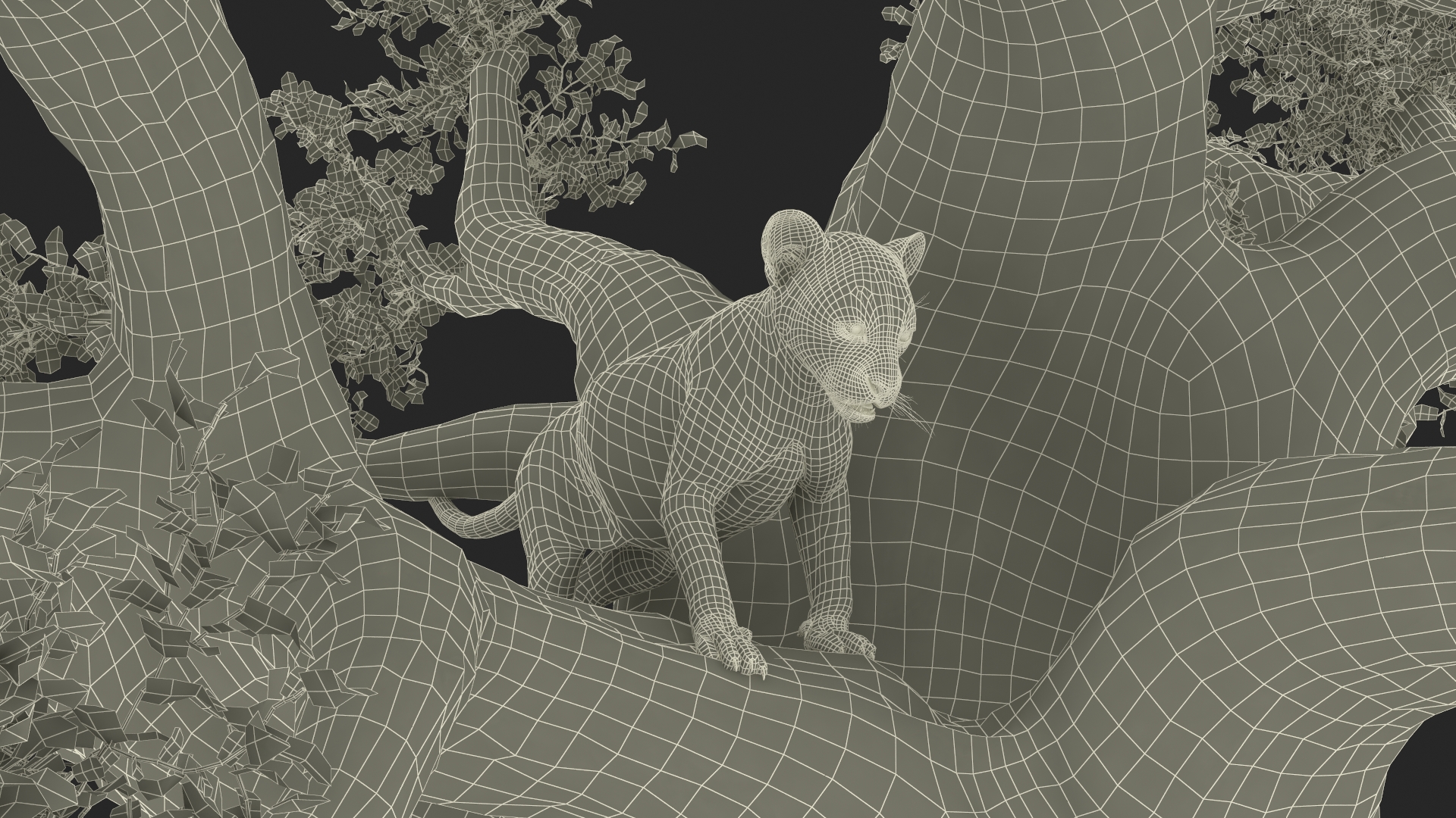 3D Puma Cub on Ancient Twisted Tree Fur