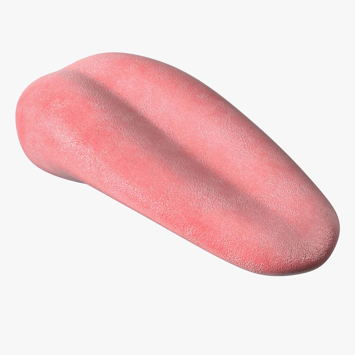 3D Human Tongue Rigged for Maya model