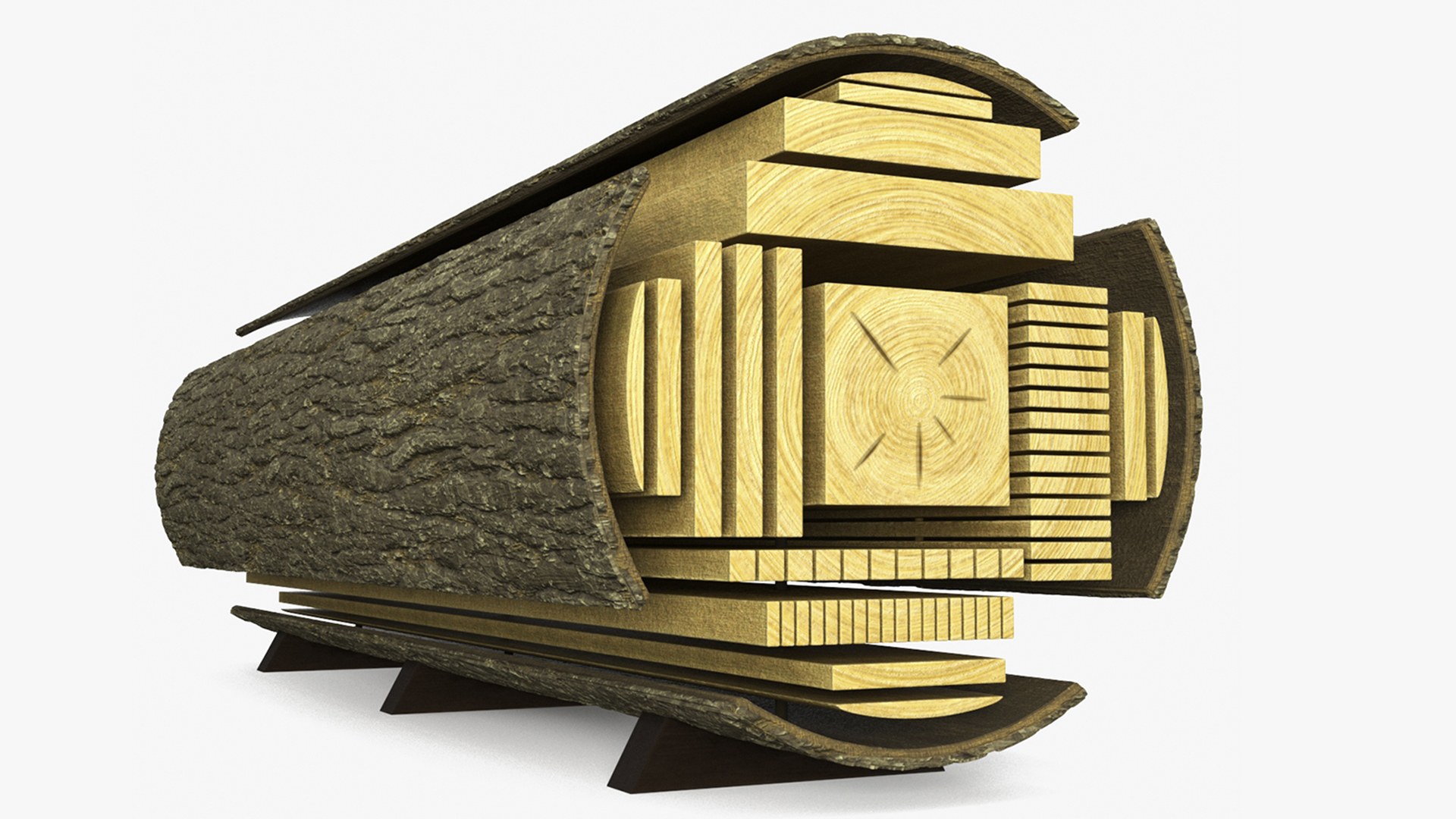 Log Cross Section 3D