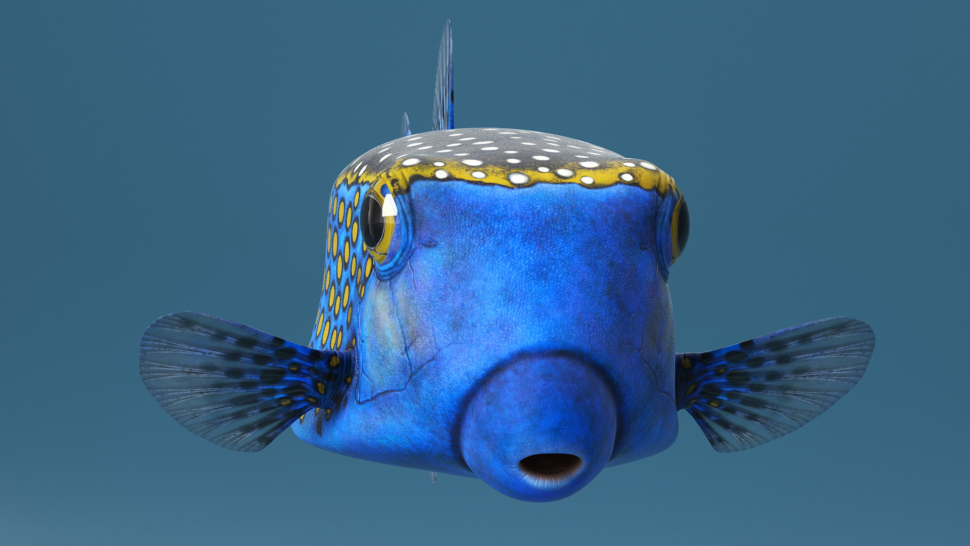 Ostracion Meleagris Fish Blue 3D model