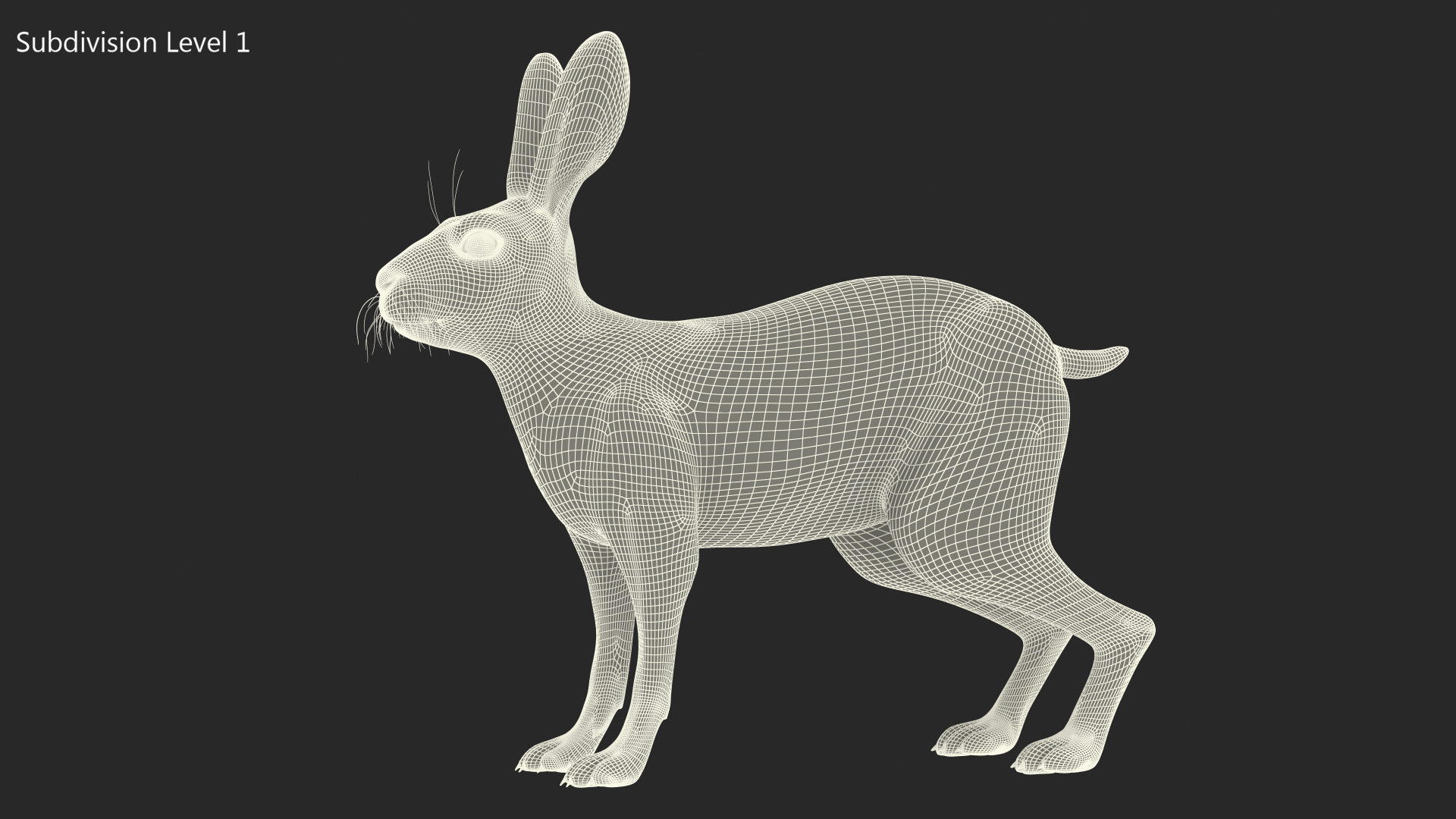 3D Winter White Hare Fur Rigged model